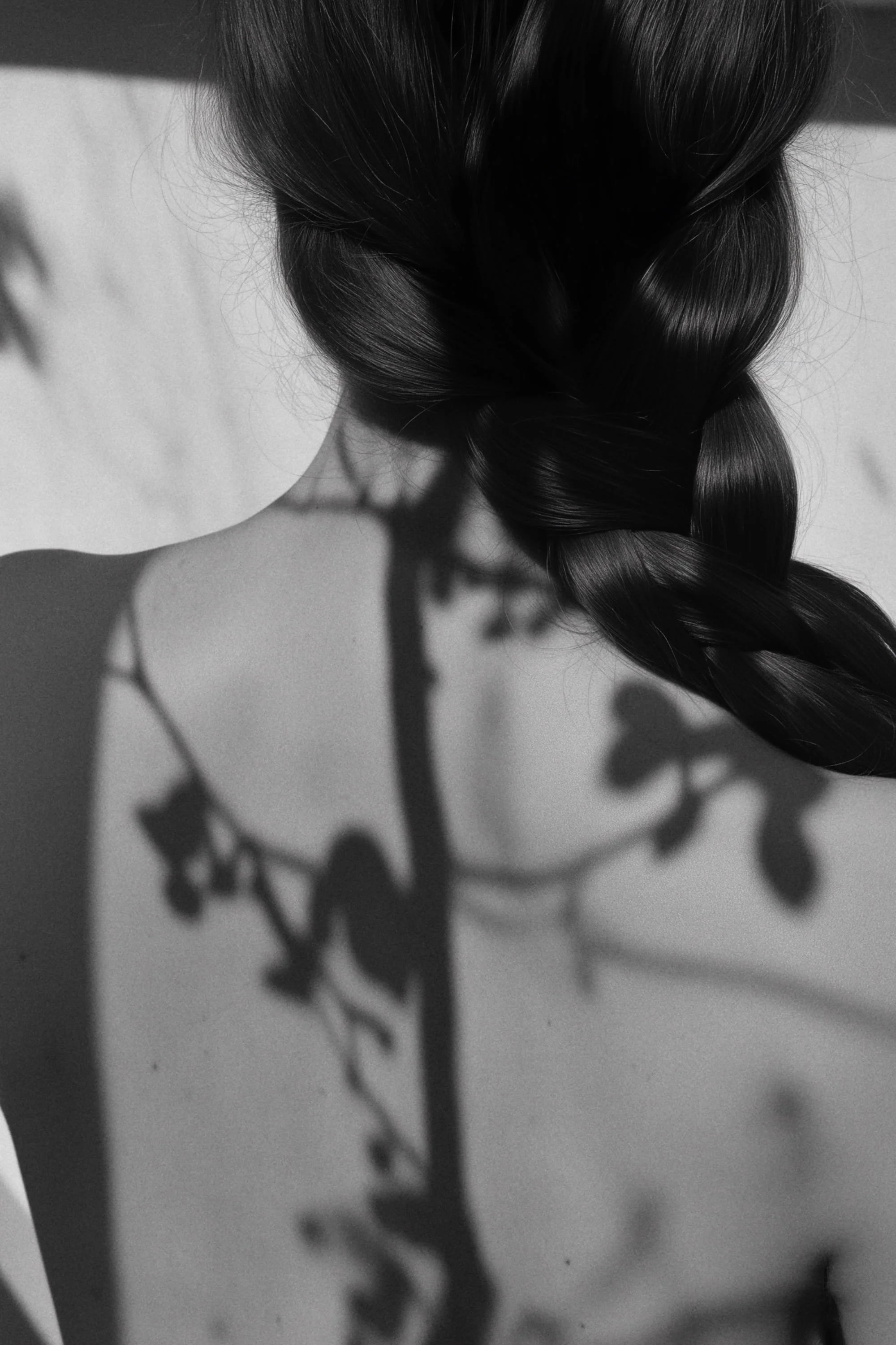 Black hair styled in a braid casting a shadow that resembles a plant or branch on the person's shoulder and back.