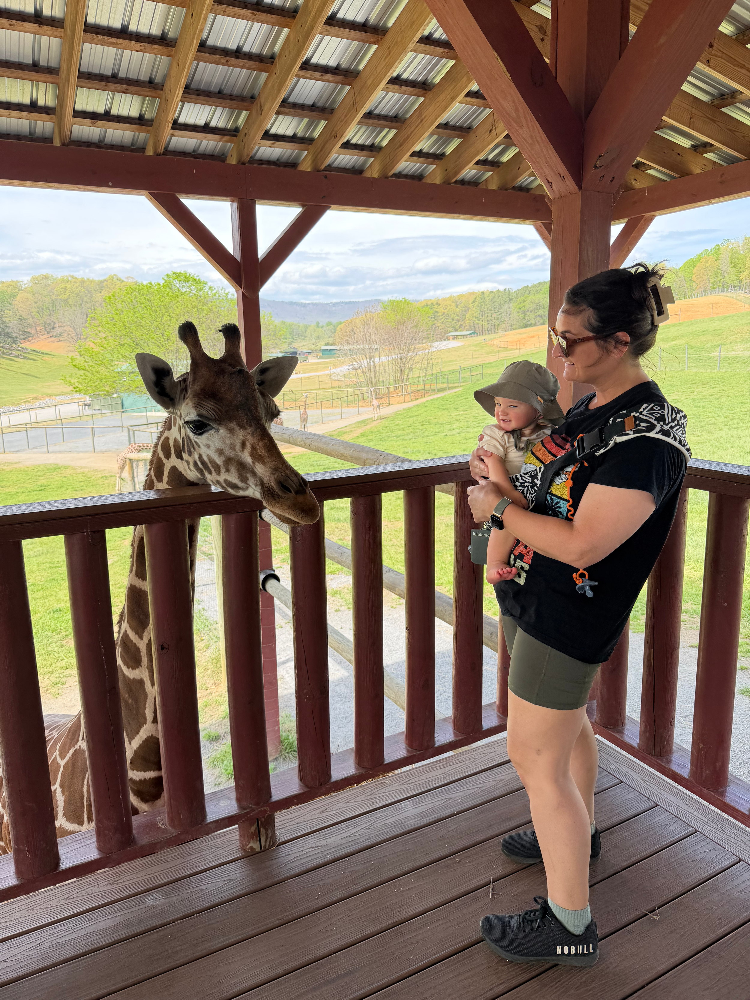 Mother and toddler visiting a giraffe during a family trip to the Virginia Safari Park.