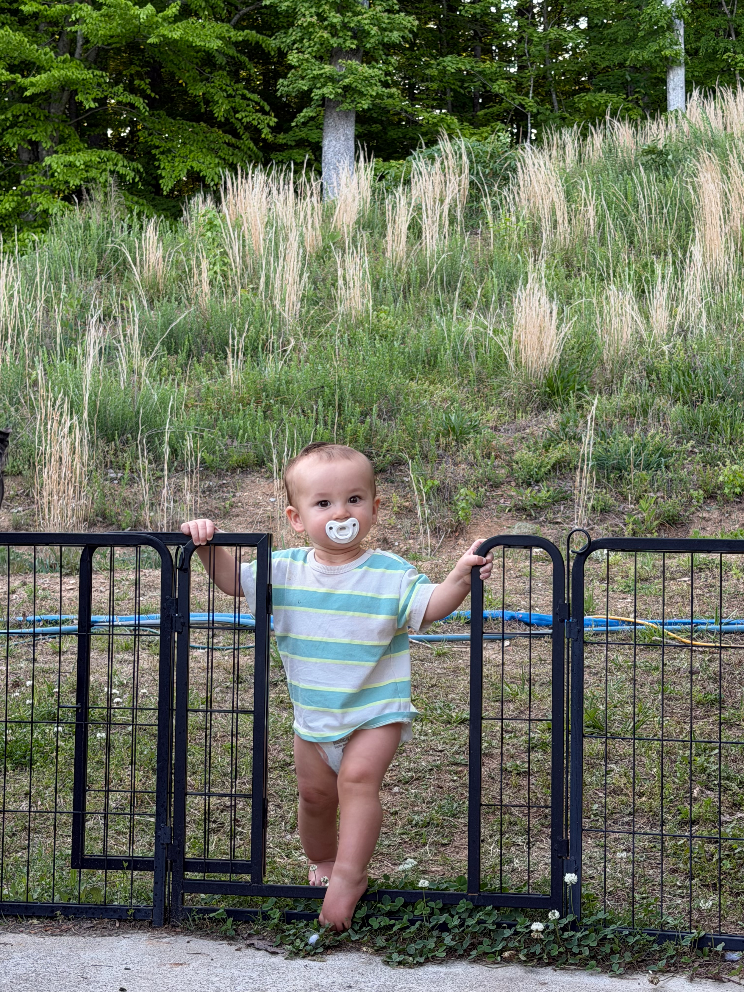 Banks standing outside our Tennessee campsite during our final days of full-time RV life there.