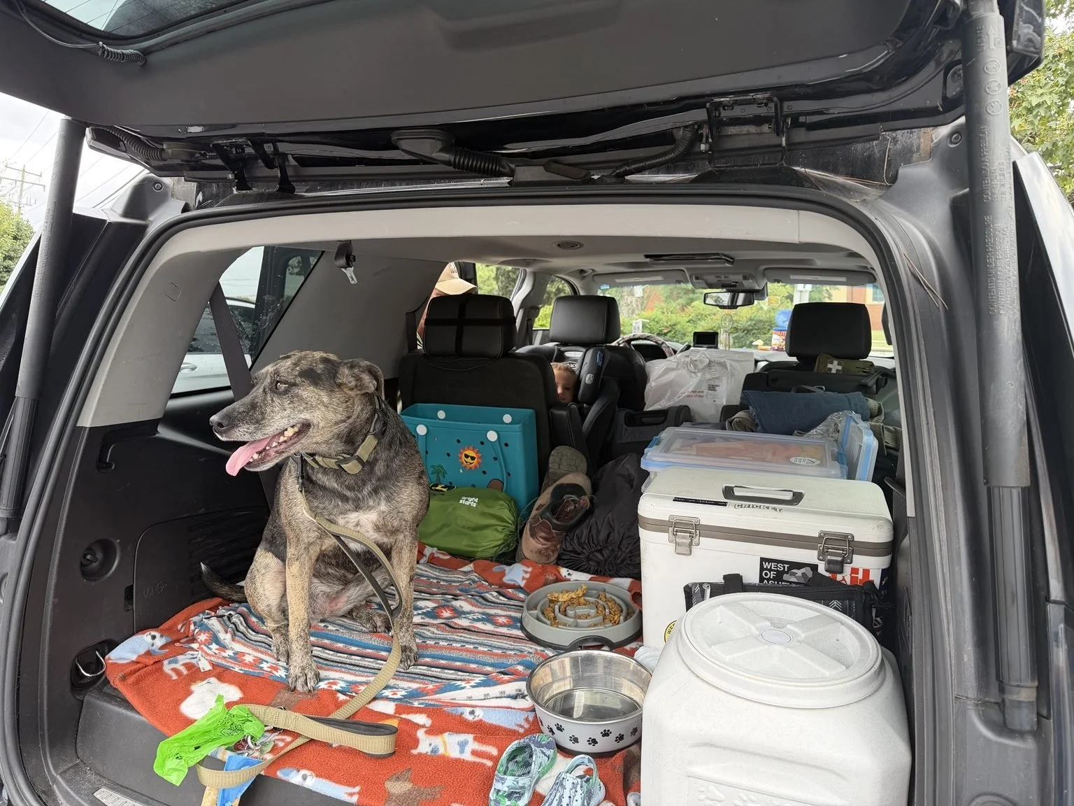 Family dog sitting in the cargo area of a Yukon packed with gear for a road trip with a toddler.