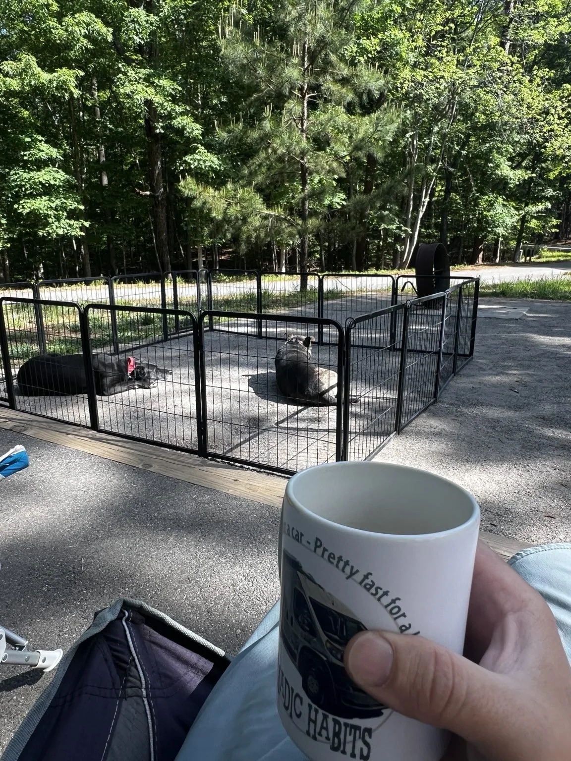 Two dogs relaxing inside a portable fence at a wooded Lake Norman campsite while morning coffee is enjoyed outside the RV.