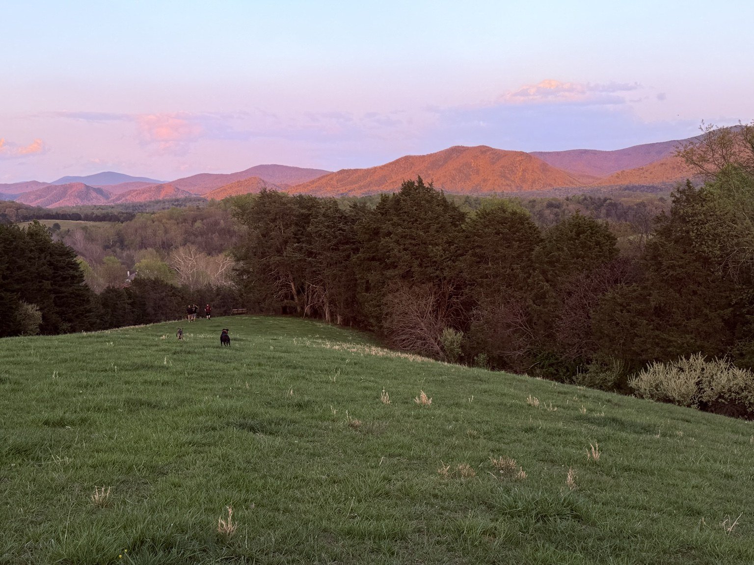 Mountain ridges glowing in warm sunset light beyond a green field and trees.