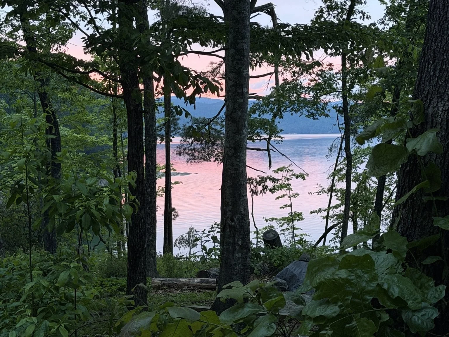 Pink sunset over Lake Jocassee through the trees at Devils Fork State Park in South Carolina.