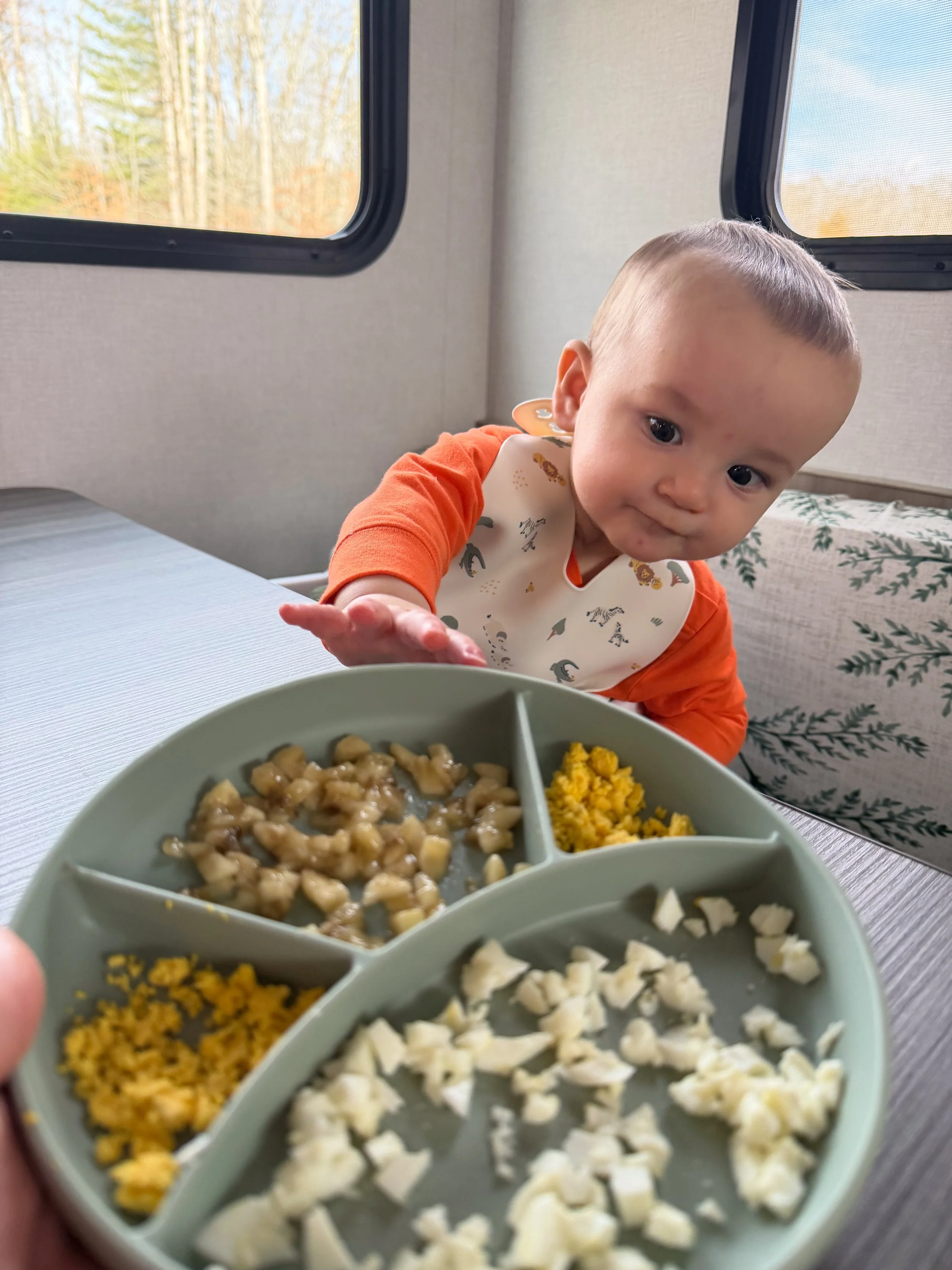 Baby reaching for finger foods during mealtime inside an RV, showing everyday life living full-time in an RV with a baby.