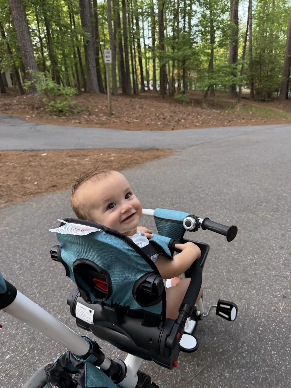 Toddler riding his tricycle through the wooded campground at Lake Norman State Park.