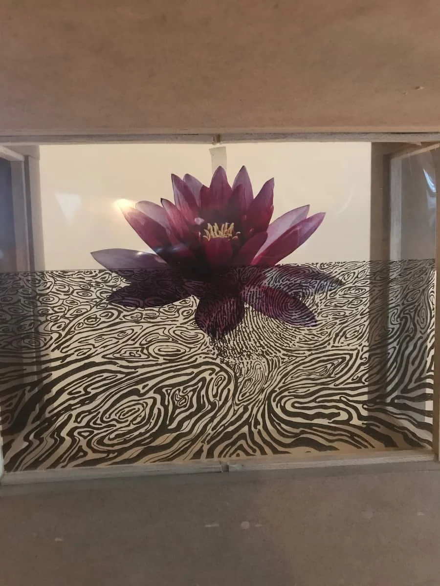 Art pub 1200_9 Detail8 DimPds SQ.jpg