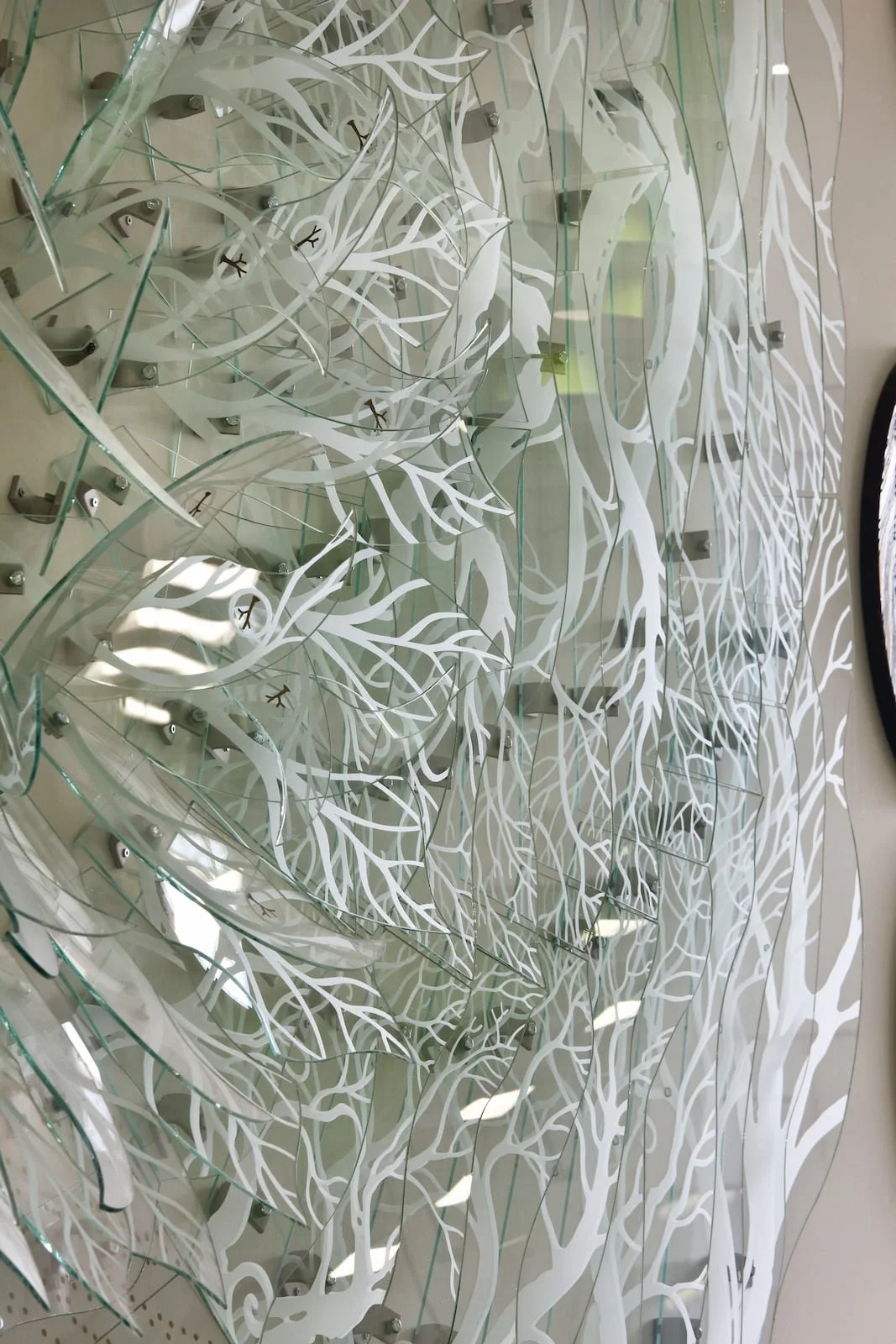 BOUC 1000_16 Detail2 DimPds SQ.jpg