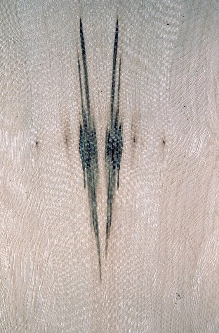 déploiement mécanique et naturel