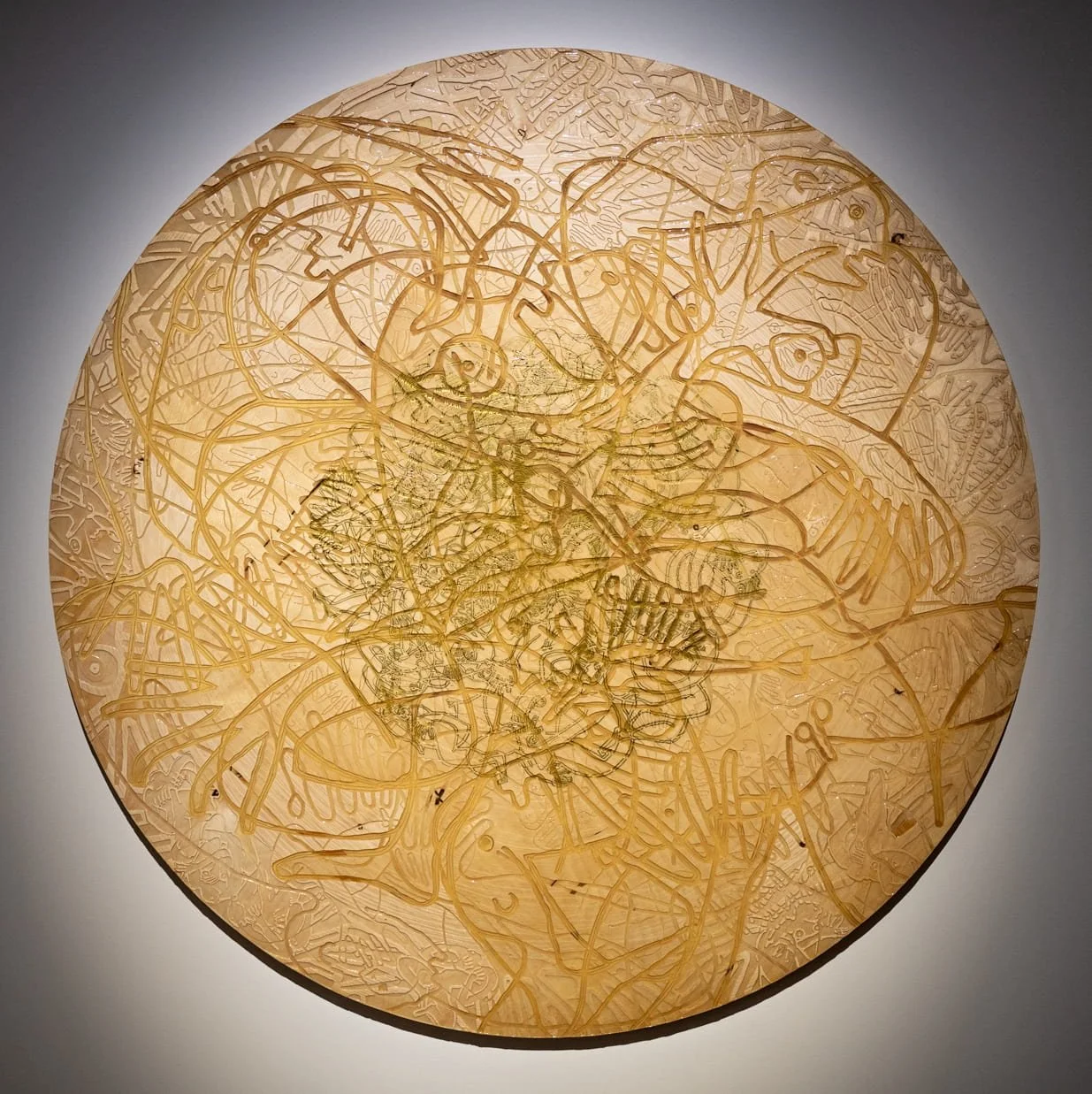 paradis, premières informations transmises