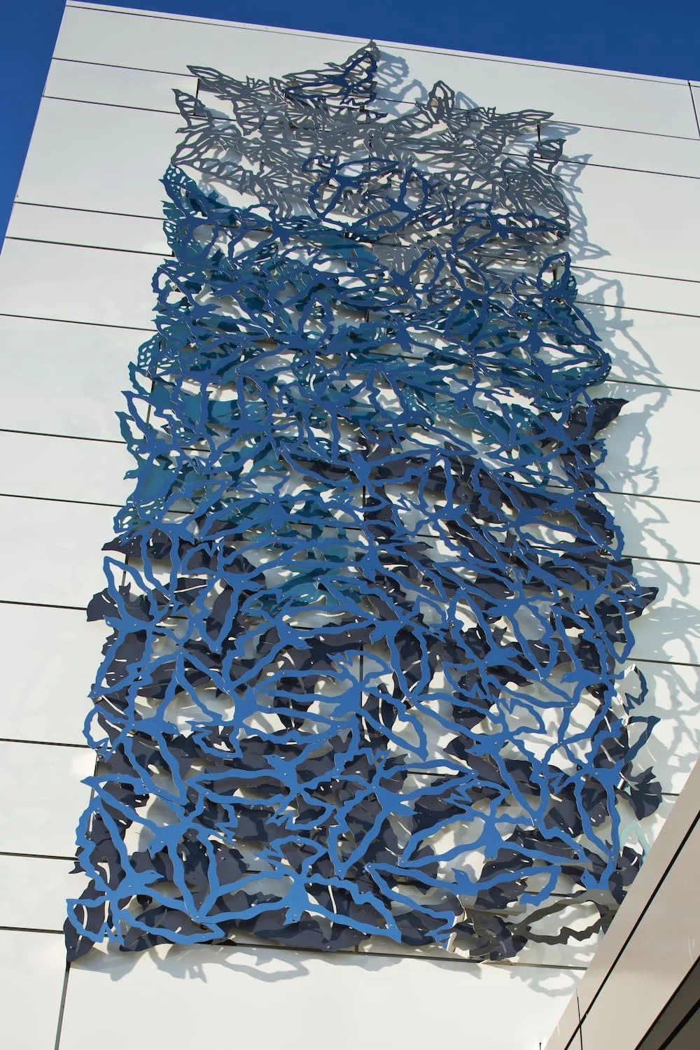 Hyac 1000_15 Detail4 DimPds SQ.jpg