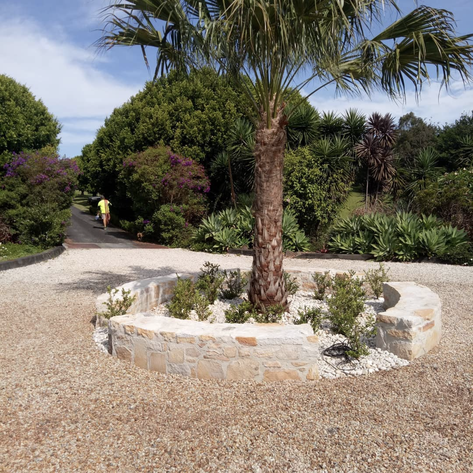 A circular stone border with small plants surrounds a palm tree in a landscaped yard with gravel pathways and lush green bushes and trees in the background. Designed by Romain Martens Stump Removal, Landscaping and Paving.