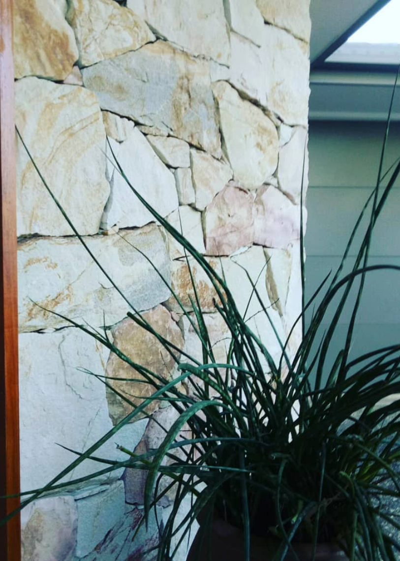 A close-up of an indoor potted plant with long, narrow, green leaves placed in front of a stone wall and near a window. Designed by Romain Martens Stump Removal, Landscaping and Paving.