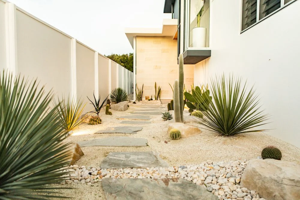 A desert-inspired outdoor pathway lined with various cacti and succulents, with a modern house in the background. Designed by Romain Martens Stump Removal, Landscaping and Paving.