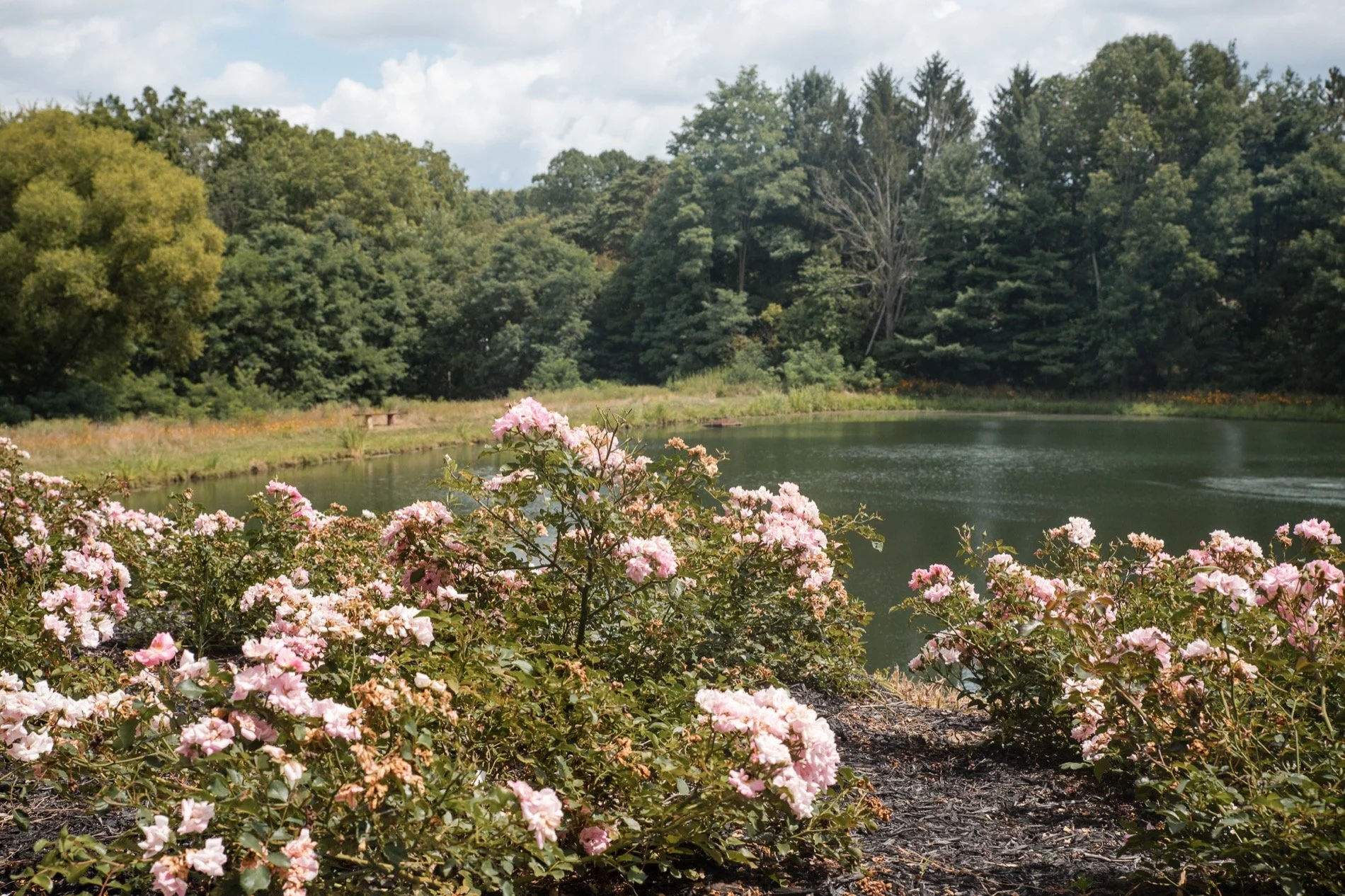 lakeside-wedding-venue-ohio.jpg