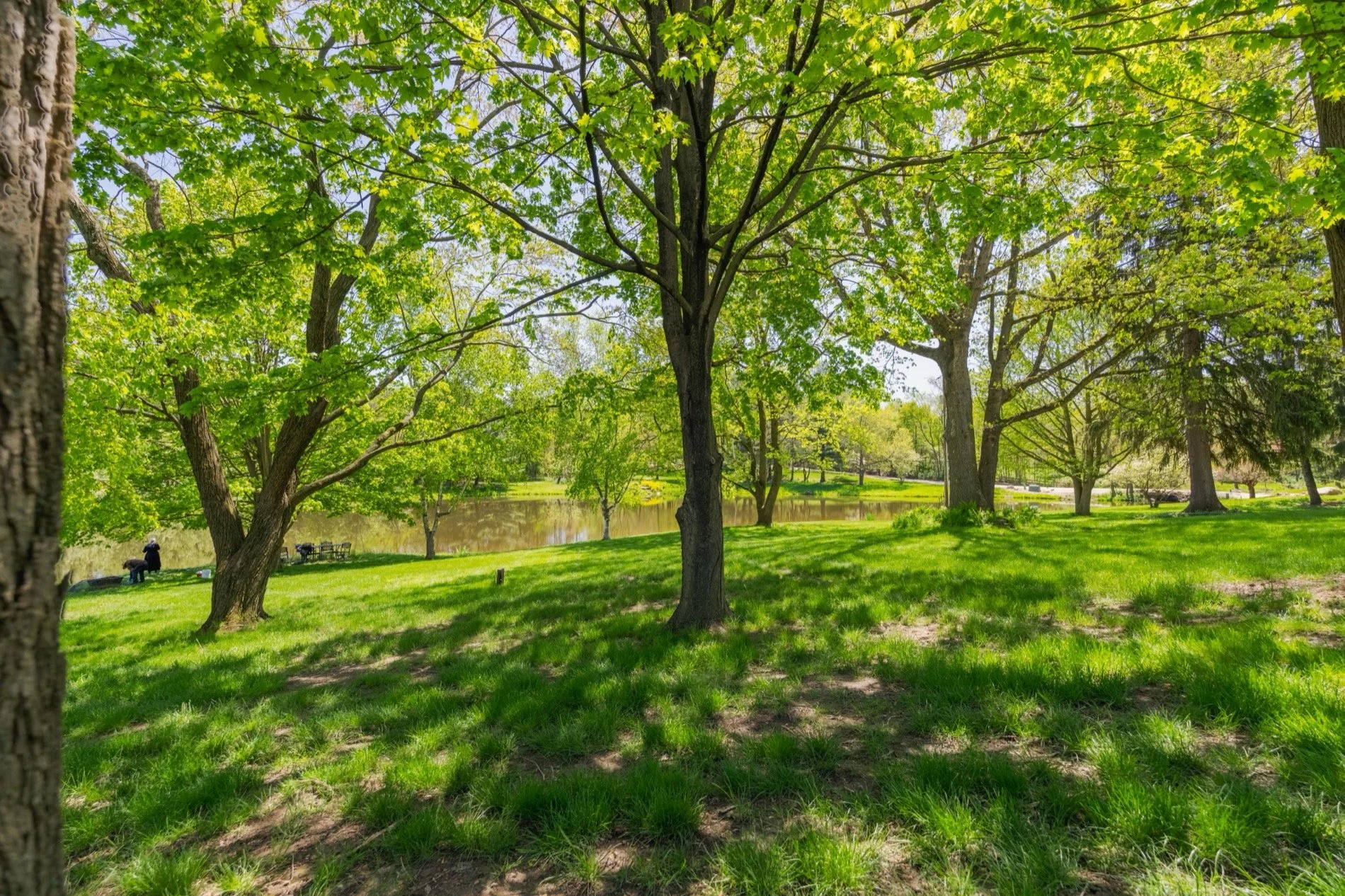 outdoor-spaces-nature-valley-lodge.jpg