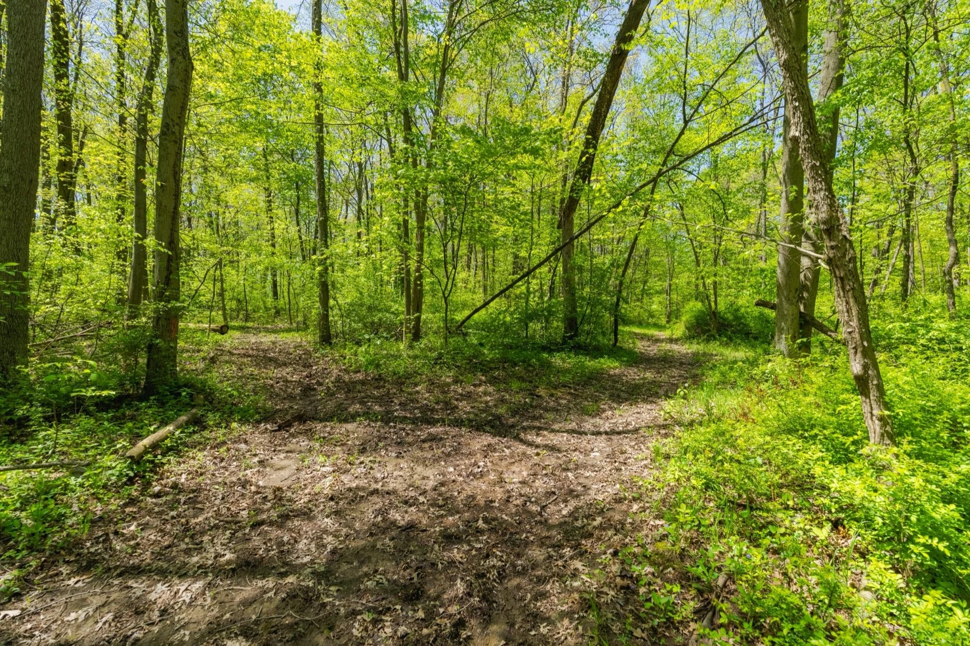 nature-trails-nature-valley-lodge.jpg