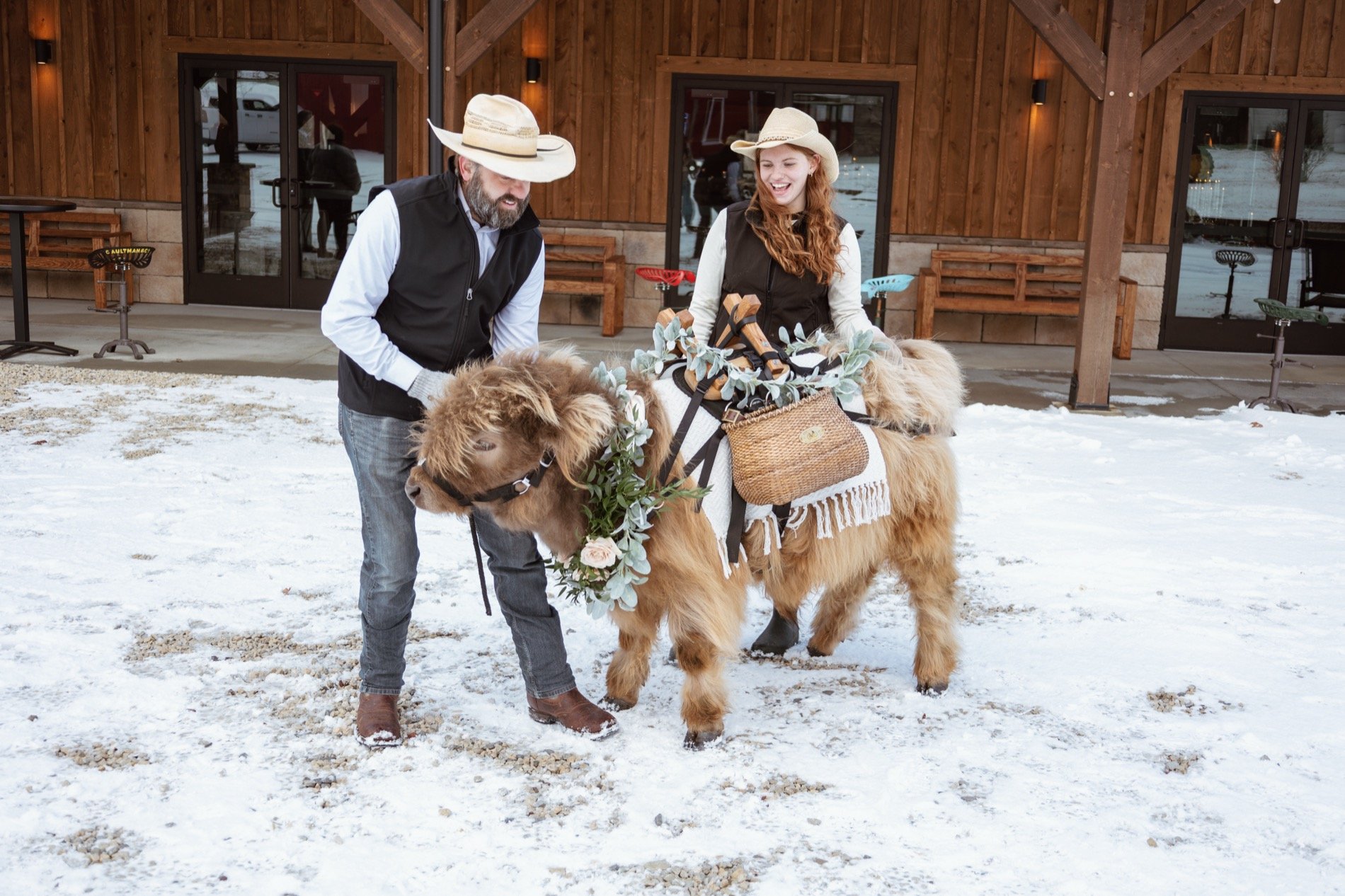 mini-higland-cow-ohio-winter-wedding.jpg