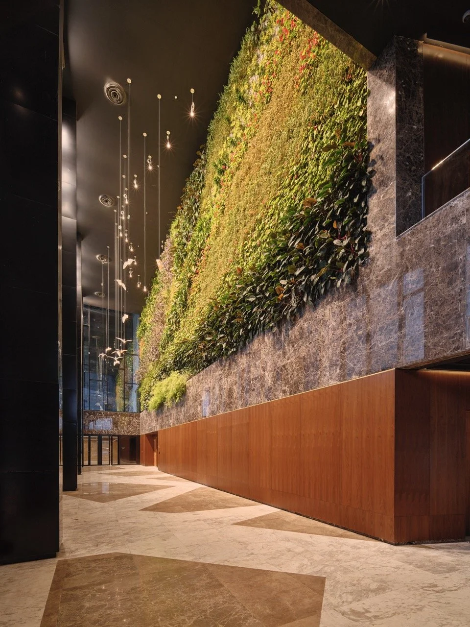 _GFX6325-High-res Large.jpeg