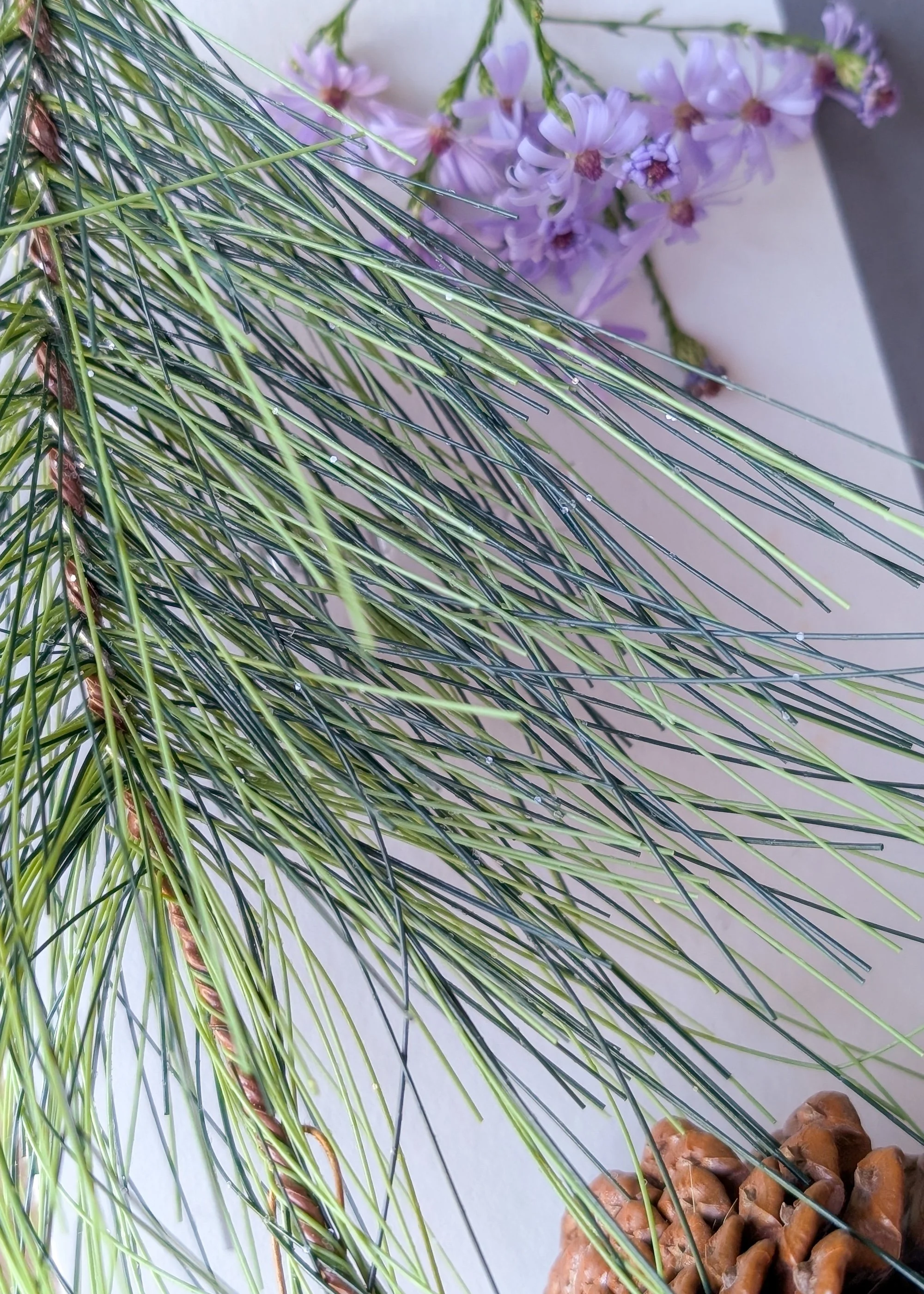 A close-up of a sprig of pine with water droplets, purple flowers in the background, and pinecones in a clay pot at the bottom right.