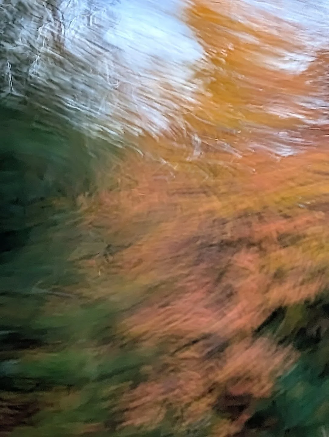 Passing by the color-changing trees, I was reminded how fast this season moves. 🍂 It’s easy to miss the beauty when life feels like a blur, but slowing down, even for a moment, brings it back into focus.
#seasonofchange #natureinspireddesign