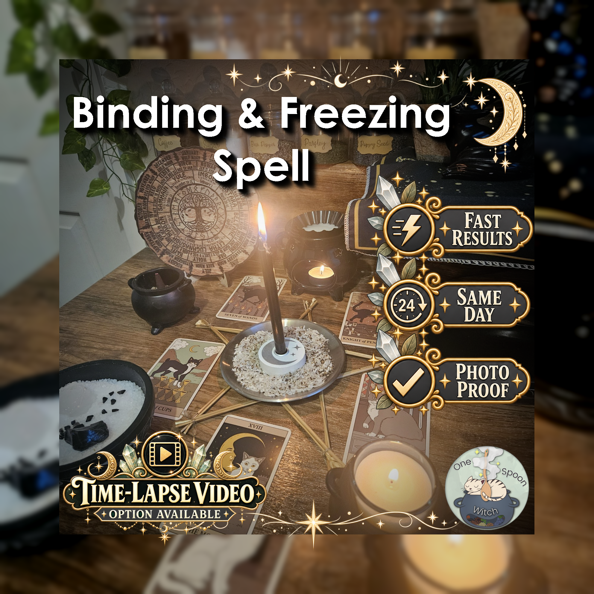 Binding and Freezing Spell - SAME DAY Casting for Cleansing, Defence, Shielding, Justice, & Protection