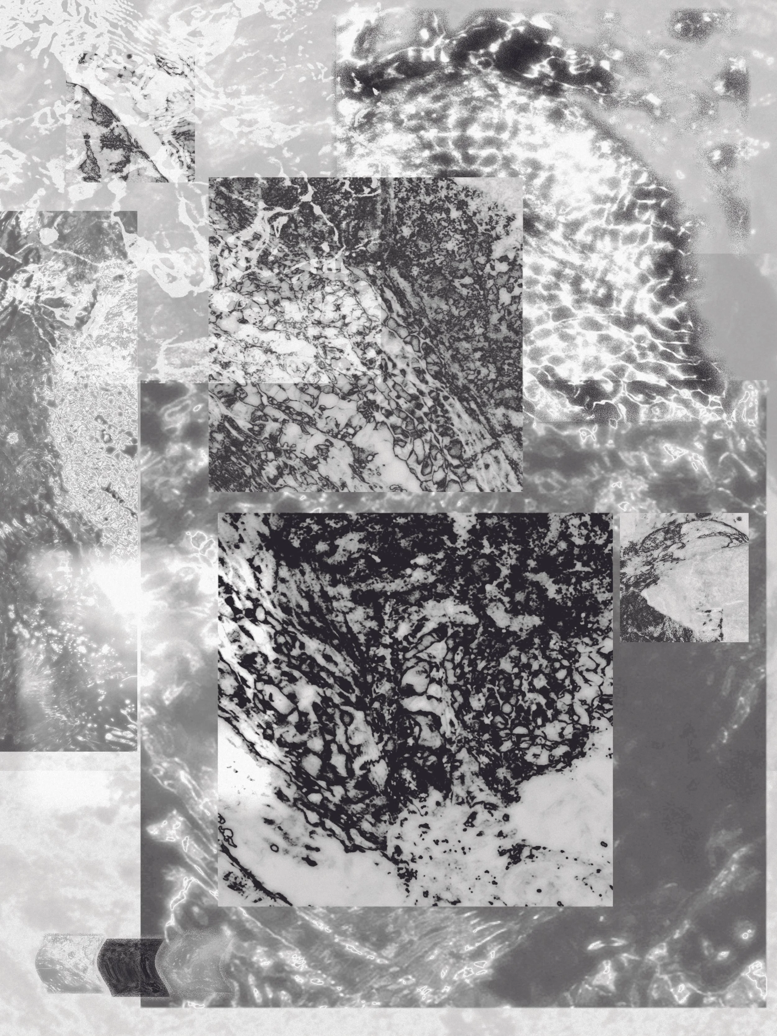 A photocollage