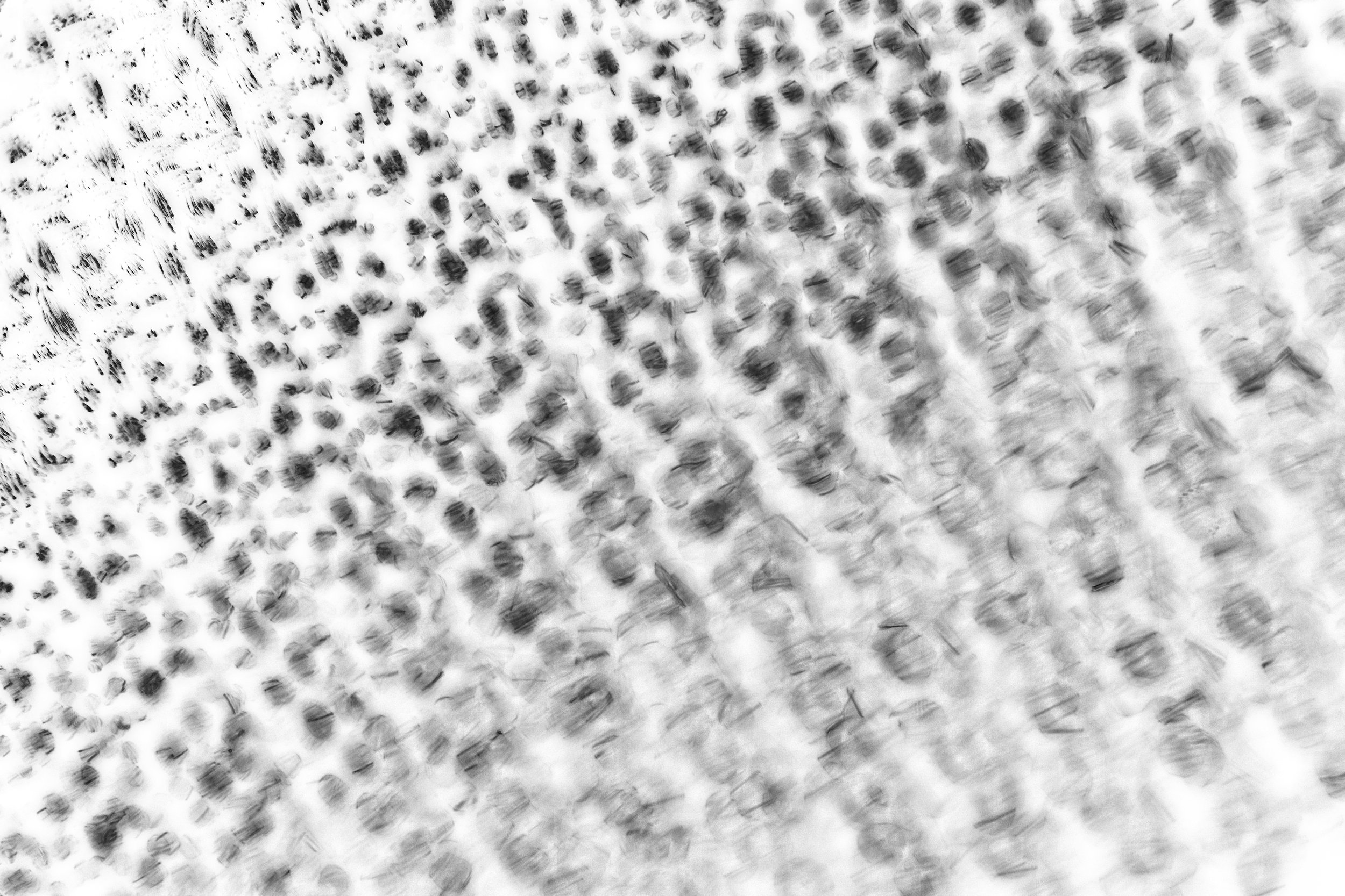 A texture made from a photo.
