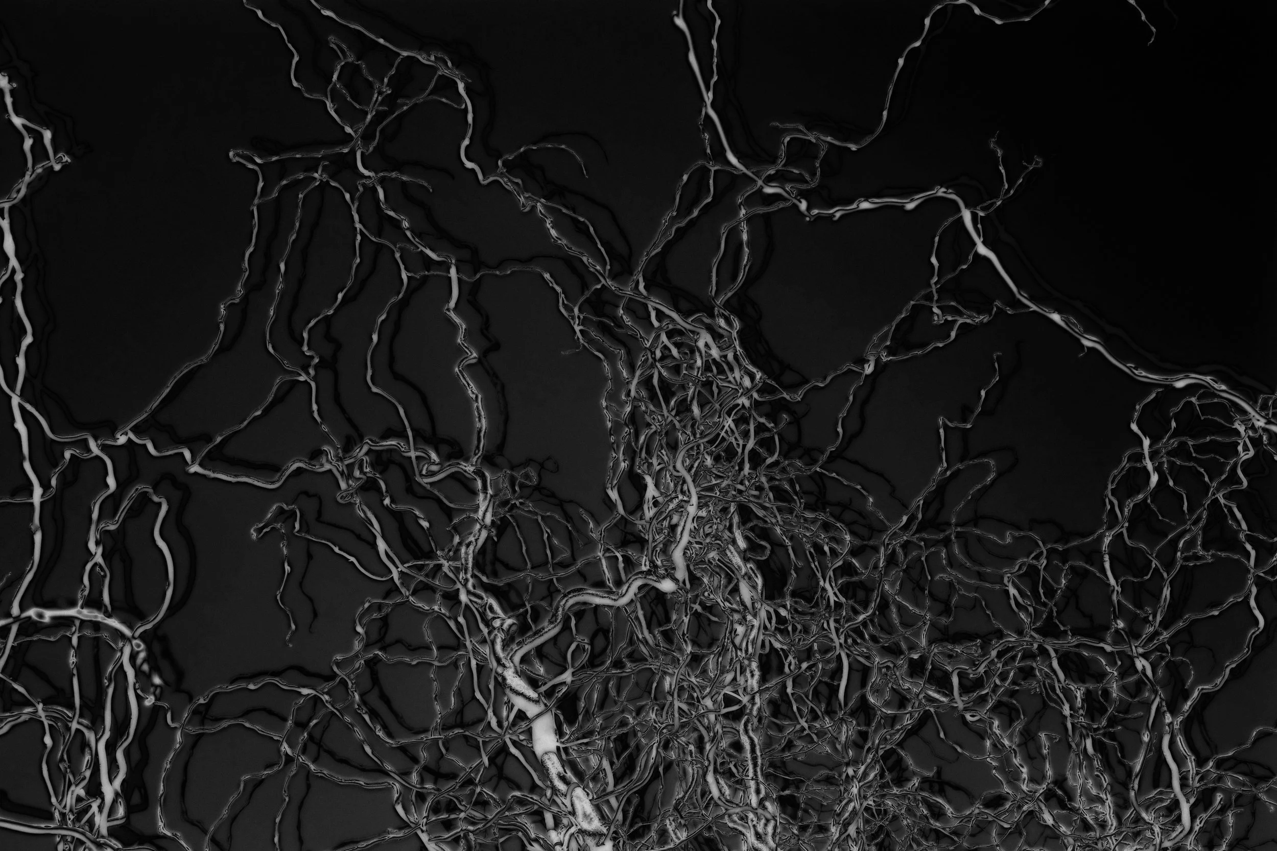 Veins.jpg