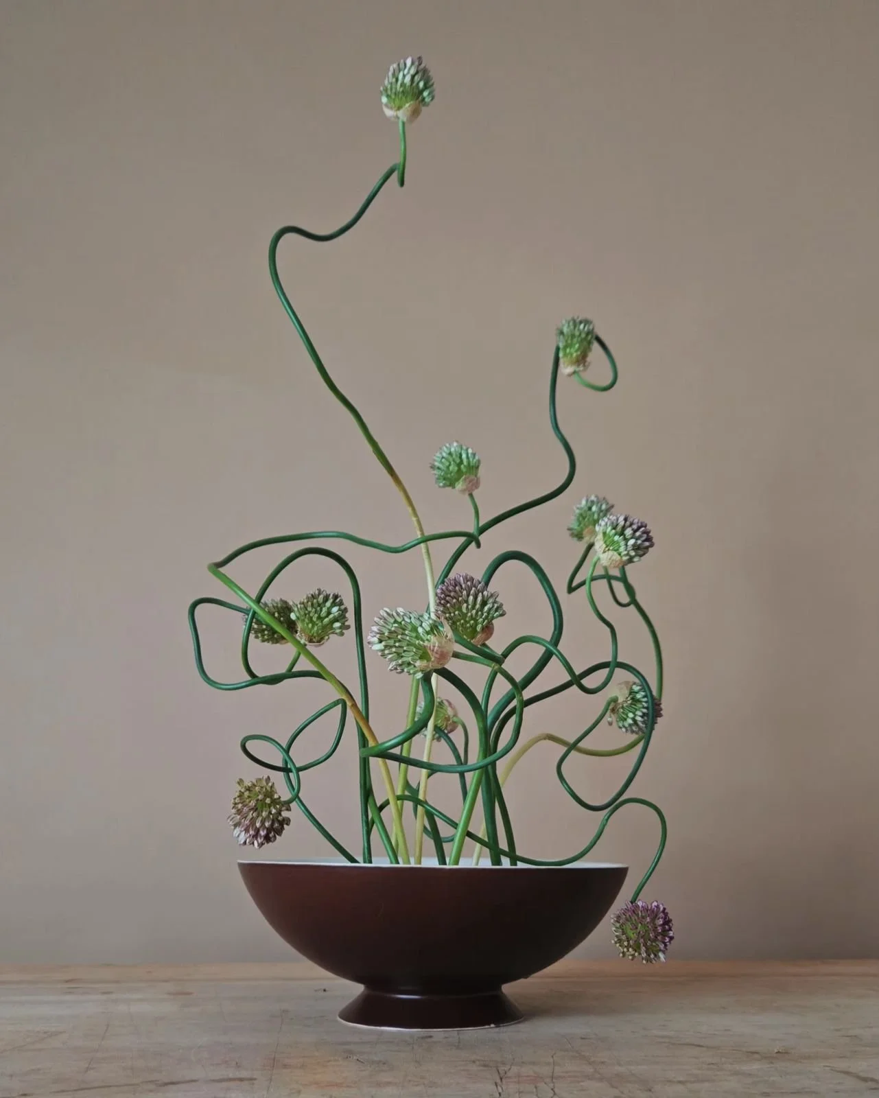 curly allium bowl