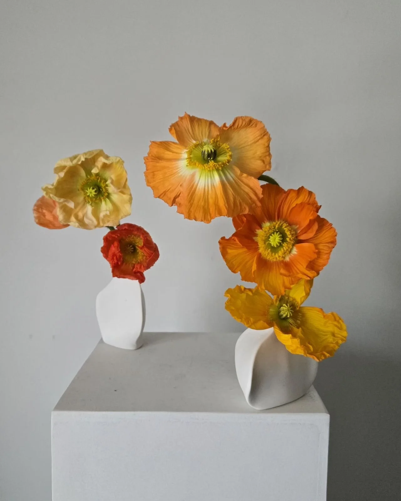 yellow, orange, and red poppies in modern white bud vases