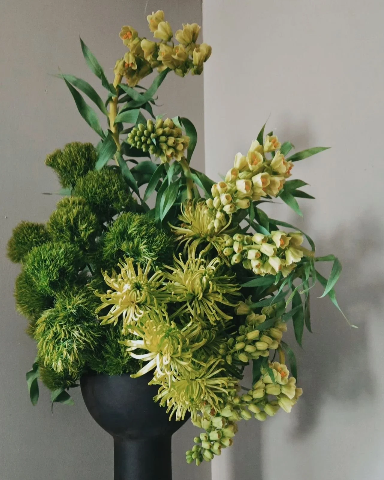 All green florals arrangement, chrisantemums, dianthus, fritillaria in modern black compote vase