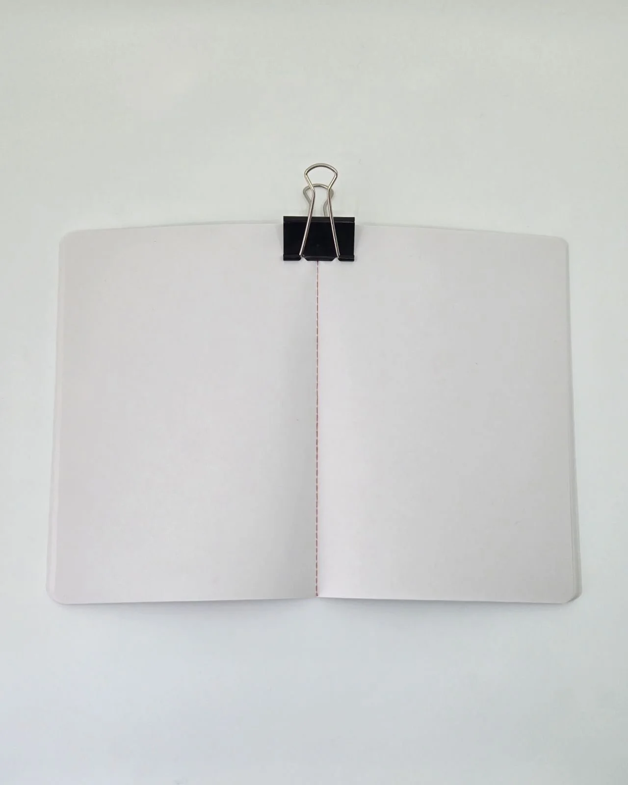 bonvini notebooks open.jpeg