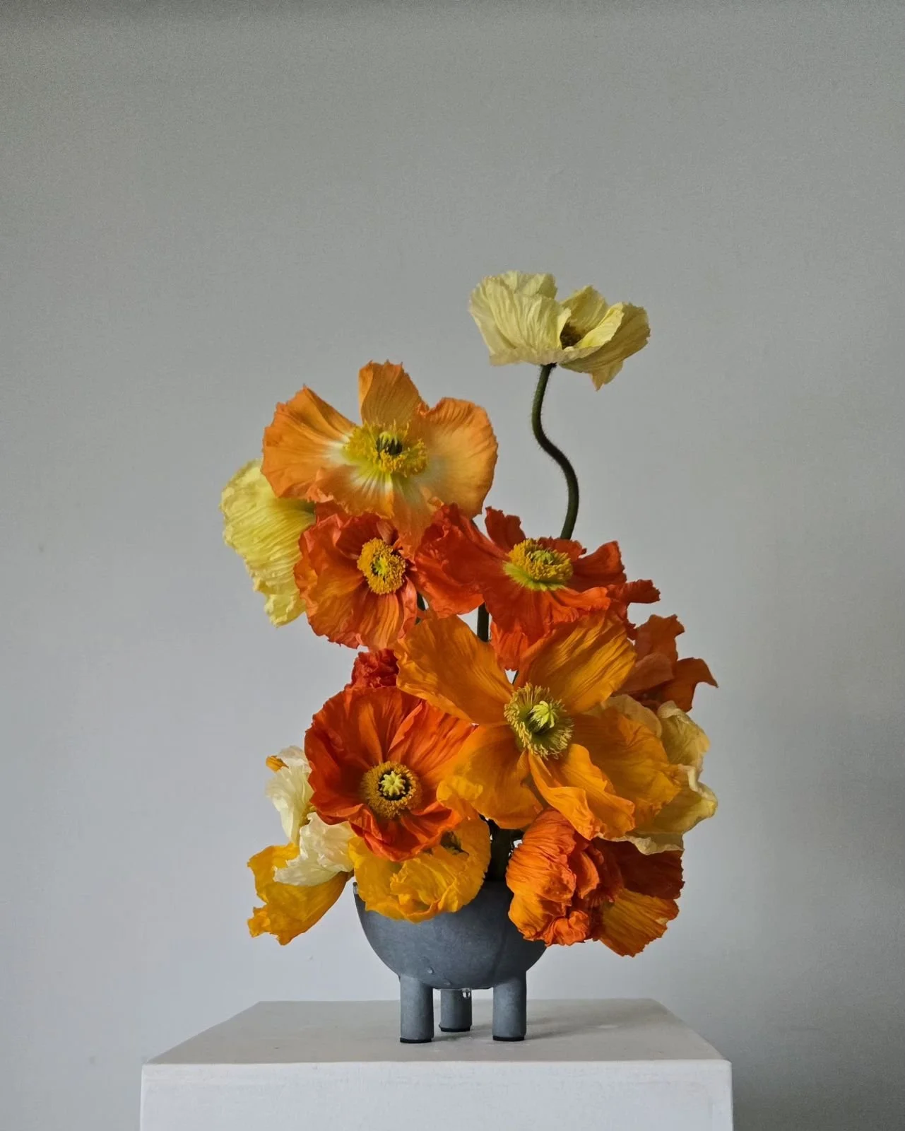 yellow orange red poppies in modern footed bowl