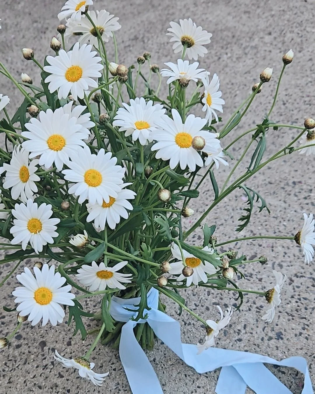 daisy bridal bouquet