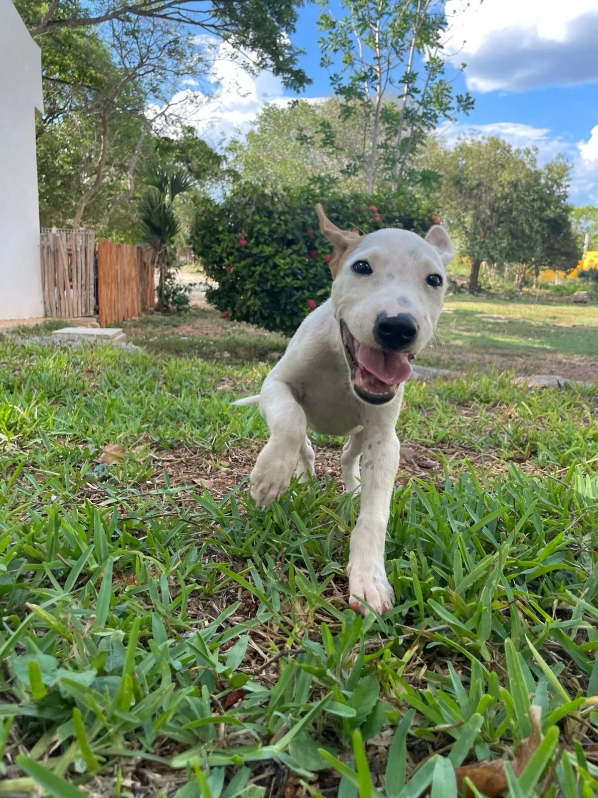 Mercury nino 2 meses