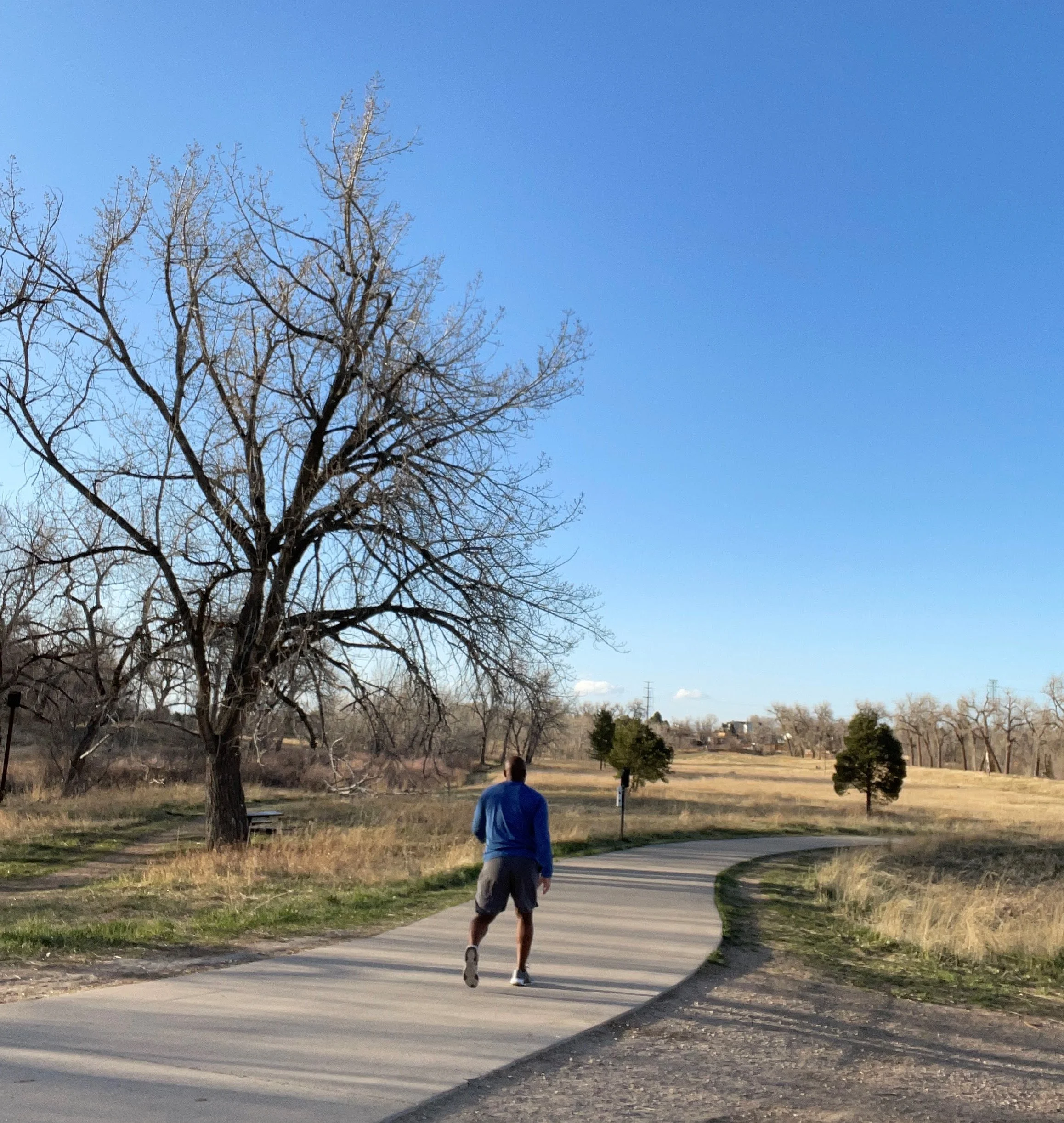 Why You Should Walk After You Eat