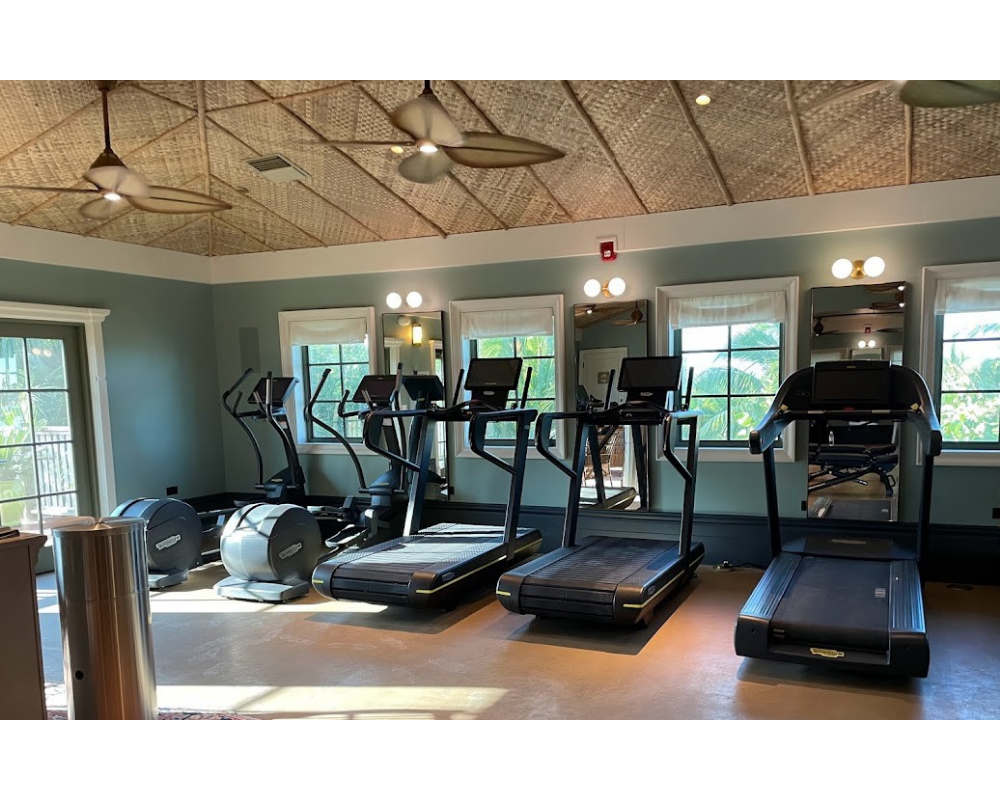 Treadmills and cardio equipment in a sunlit gym, ideal for Zone 2 cardio training sessions