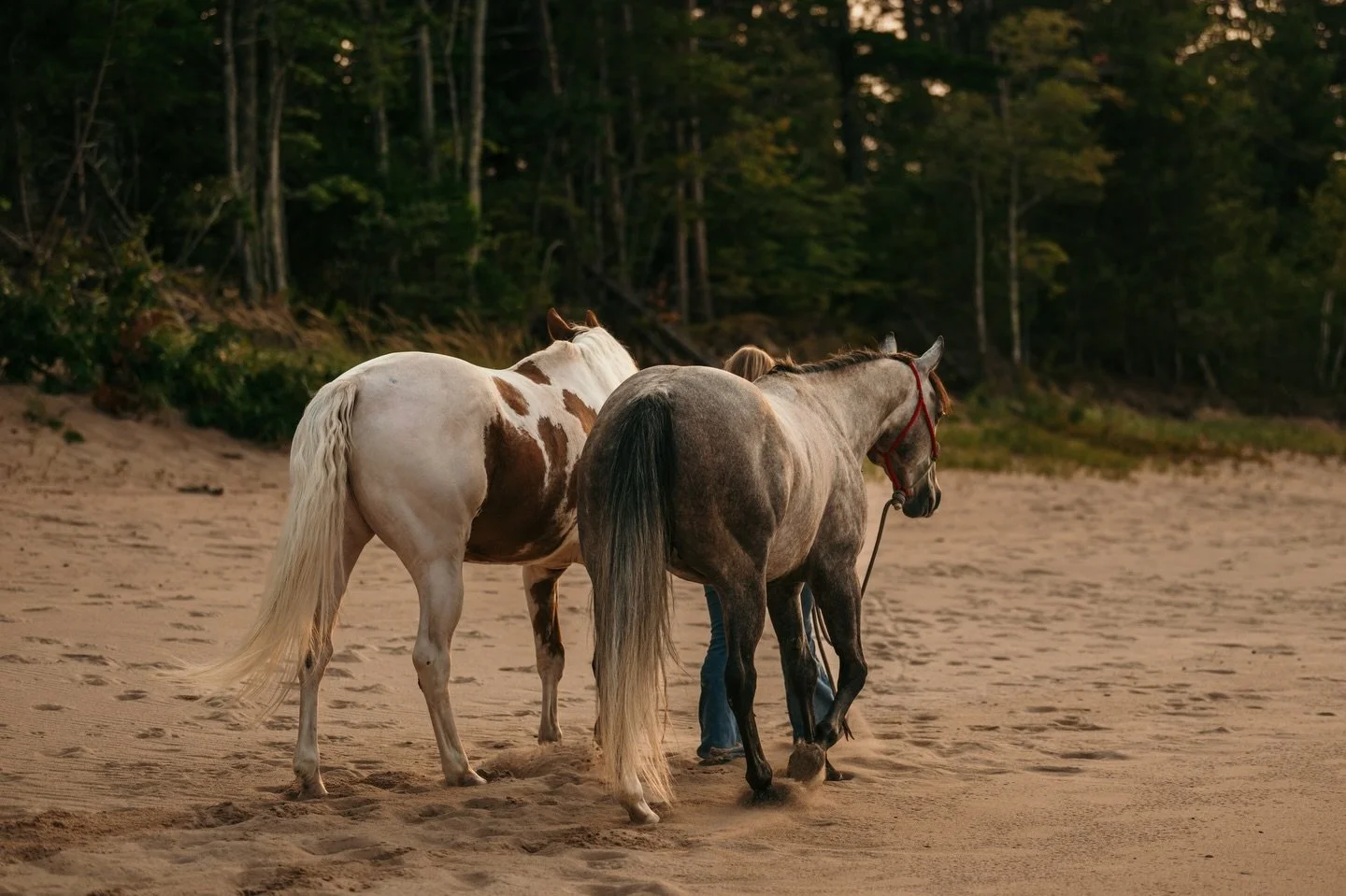 Good horsemanship is built on relationship.
It&rsquo;s about paying attention together &mdash; noticing small changes, moments of hesitation, shifts in energy &mdash; and responding with care.

Yet with ourselves, we say:

&ldquo;I should be able to 