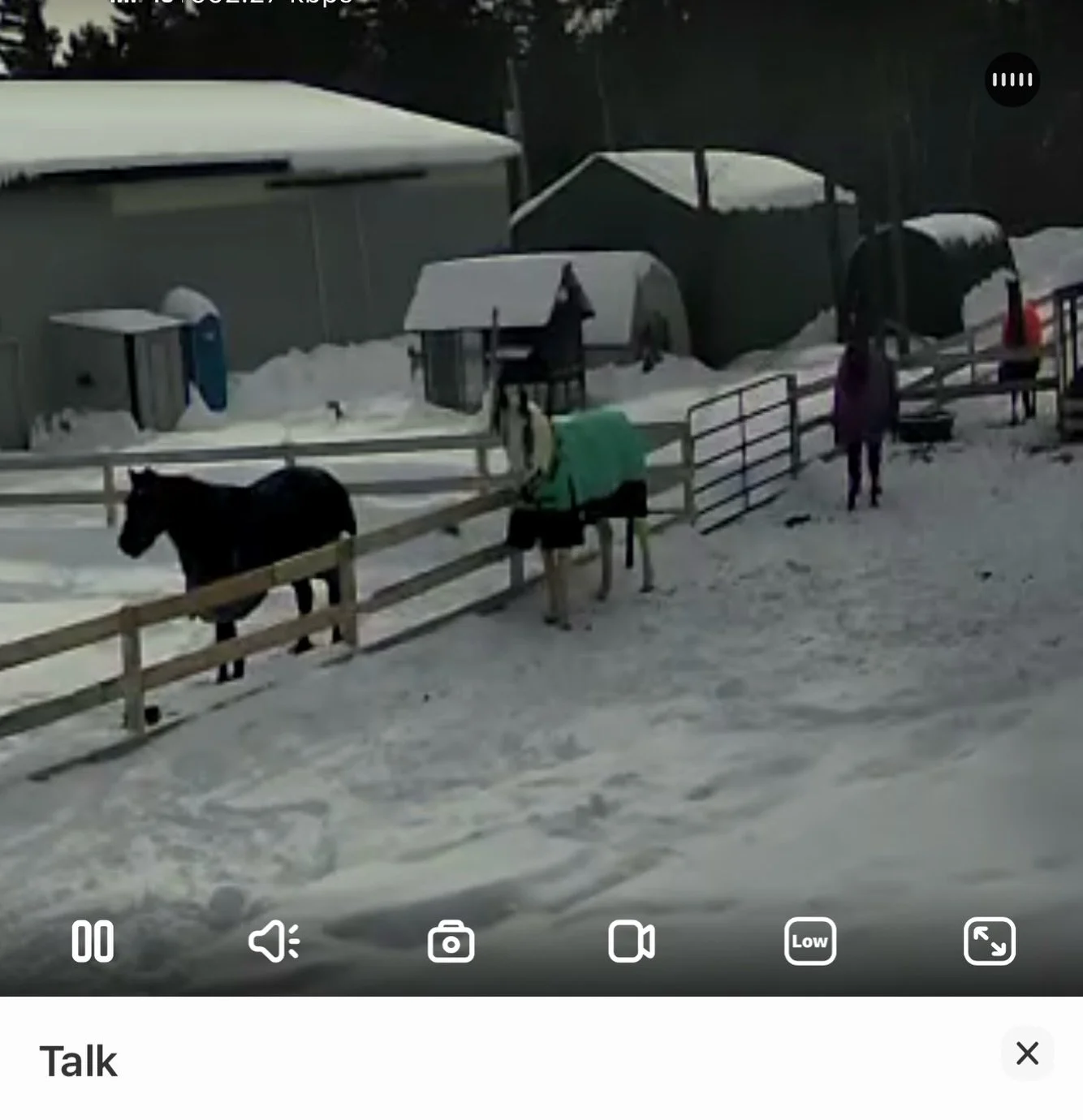 Anyone else obsessively checking cameras during this cold snap?!?! 🤷🏻&zwj;♀️🙋🏻&zwj;♀️

One of my favorite mid-day work breaks is to talk to the herd through the camera. So fun when they all stop what they are doing, tune into the camera, and list