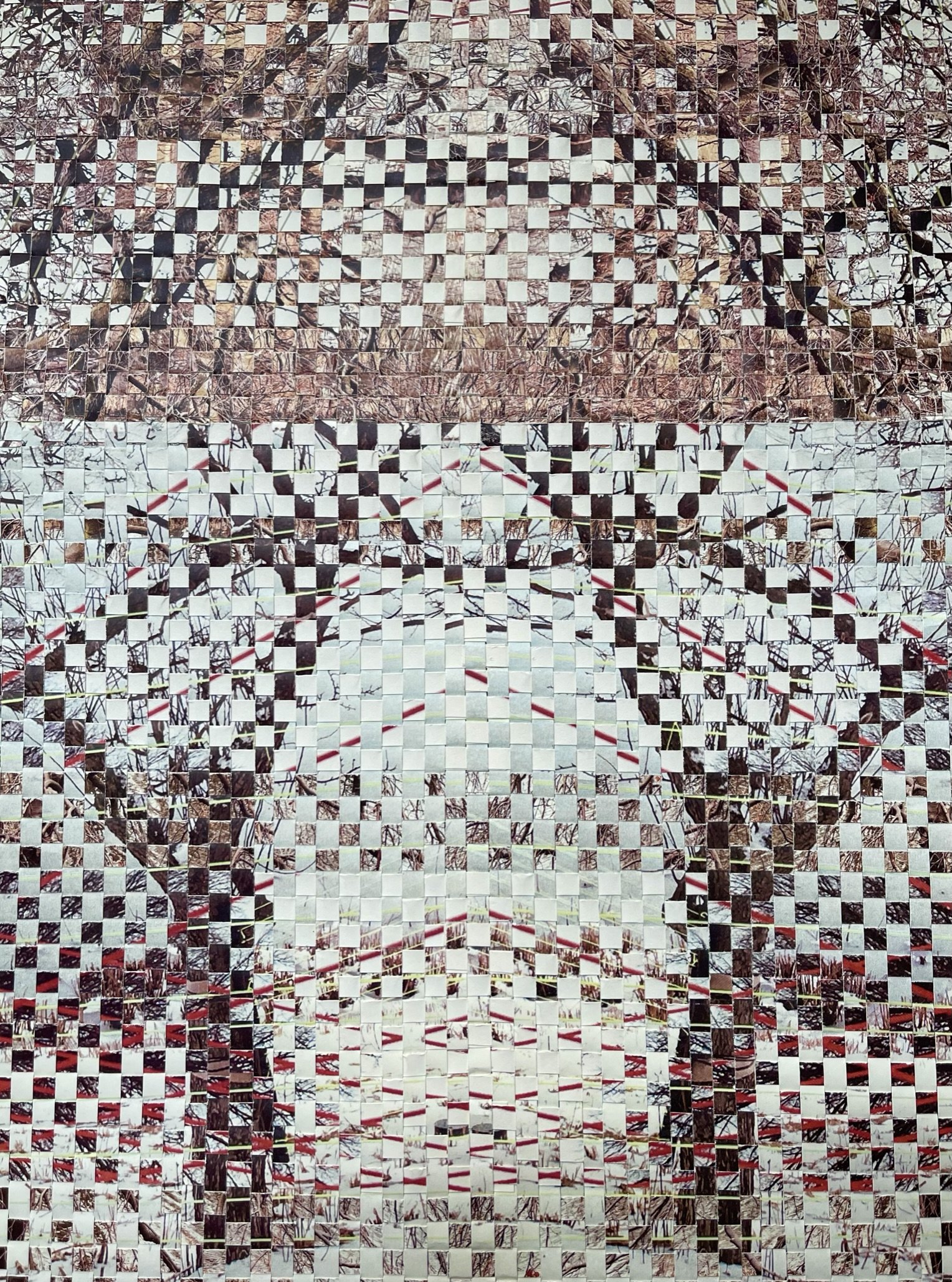 Sepia Toned Bare Trees Detail