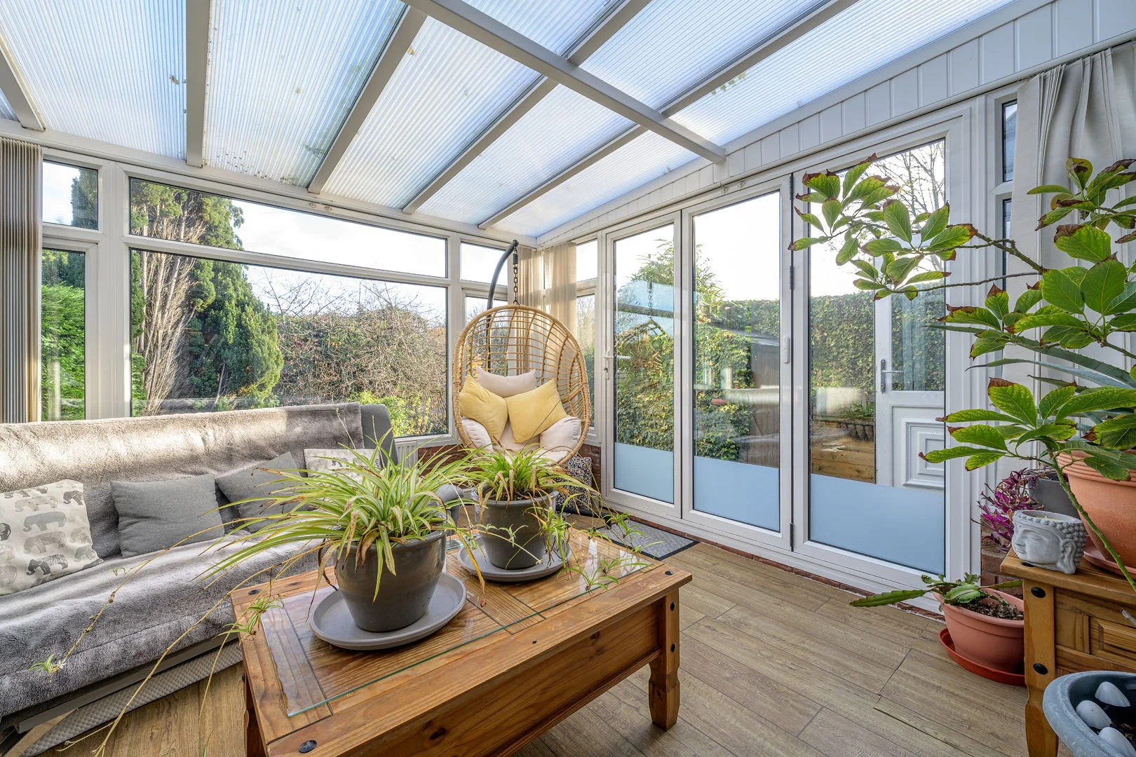 conservatory with plants