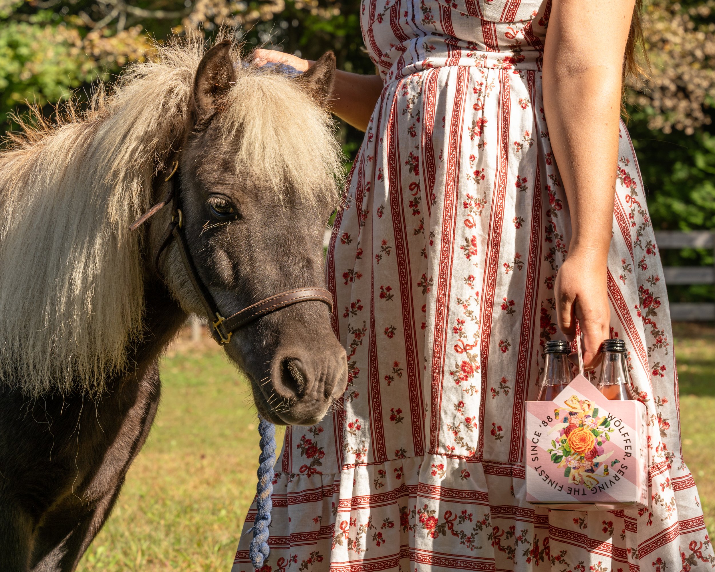 Horsing Around.jpg