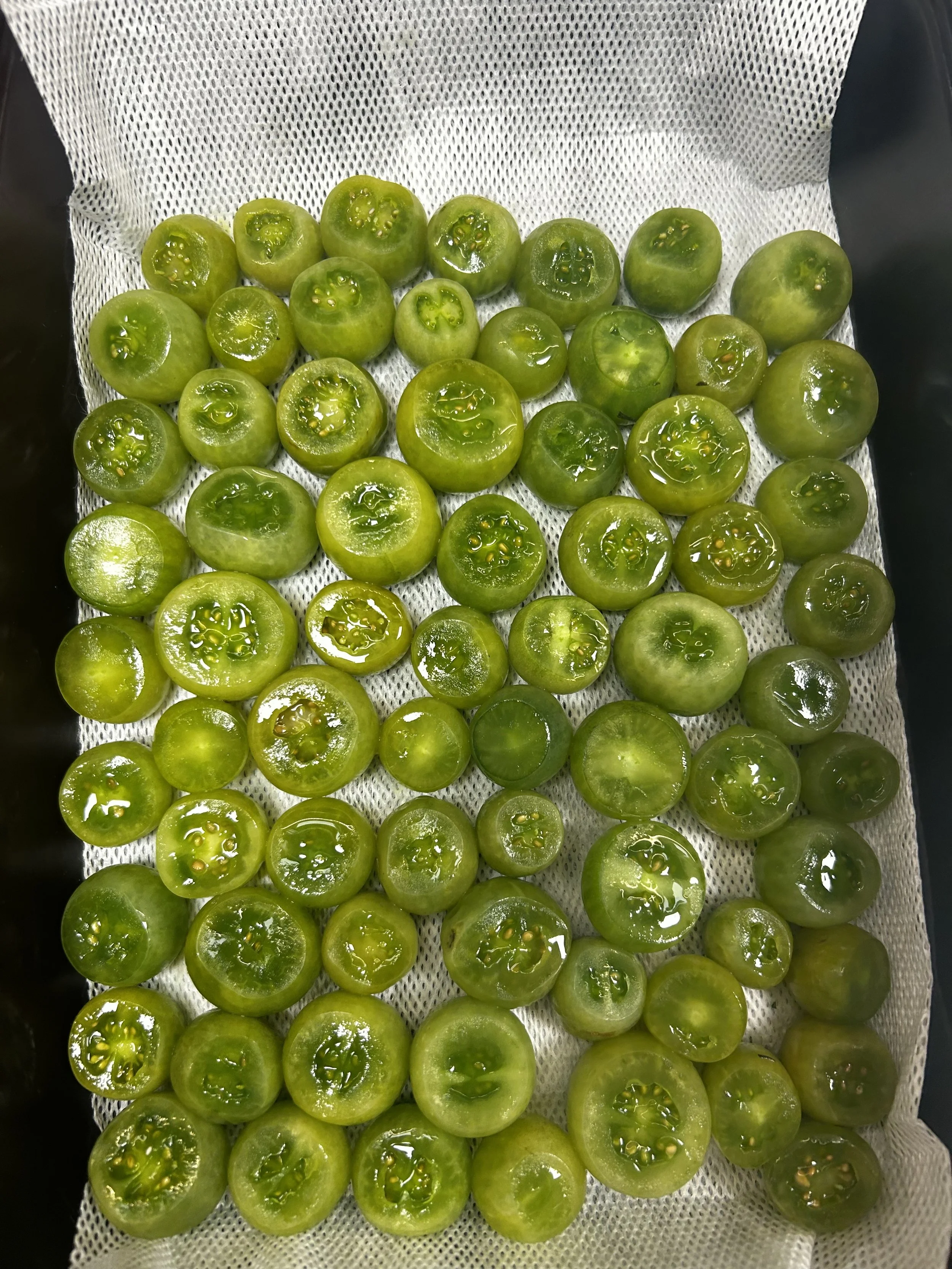 Green grapes halved and laid out on paper towels in a tray.