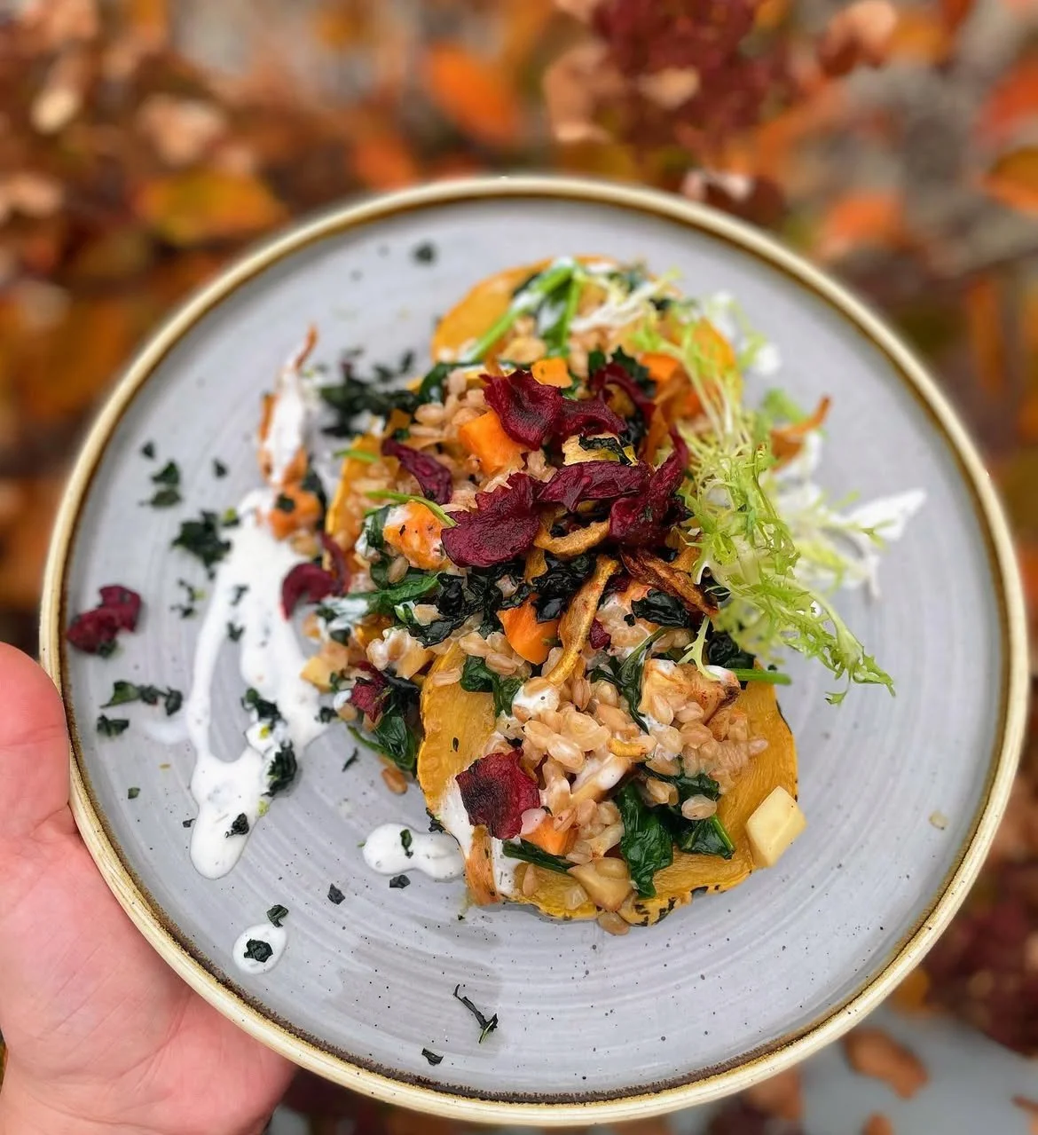 A plated dish of mixed grains, vegetables, and greens topped with microgreens and edible flower petals, with some sauce on the side, held in a person's hand against an outdoor autumn background.