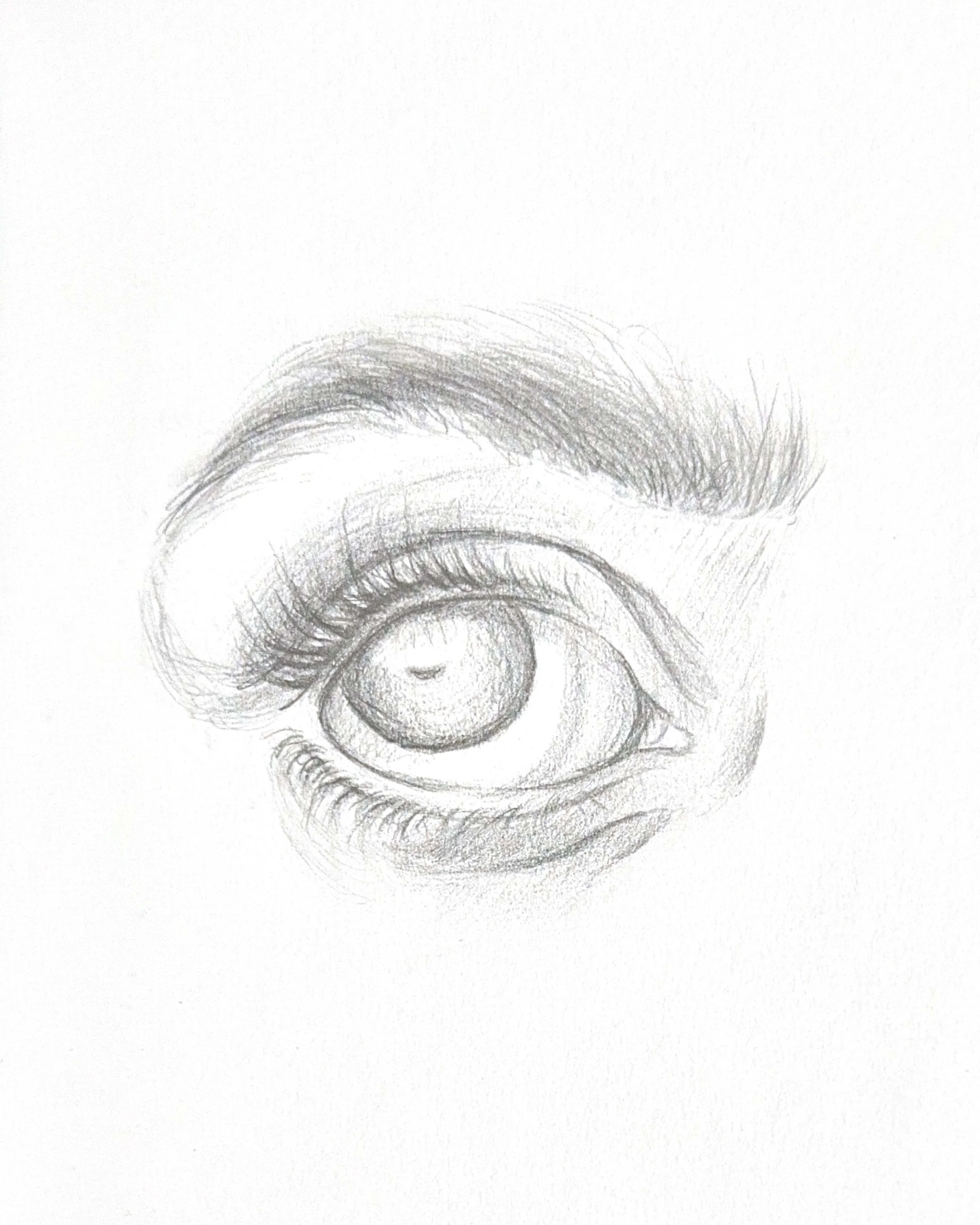 Eye Study