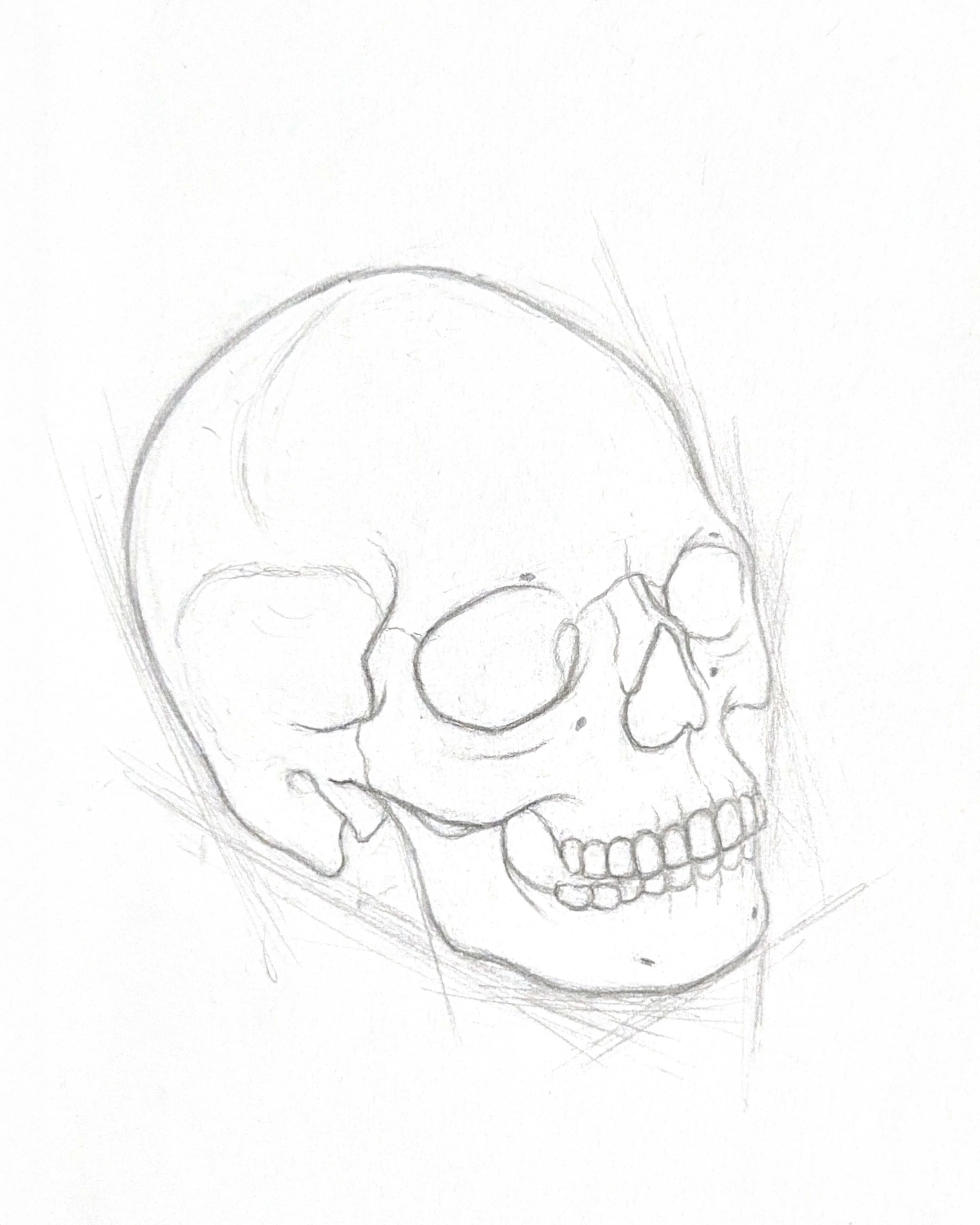 Human Cranium