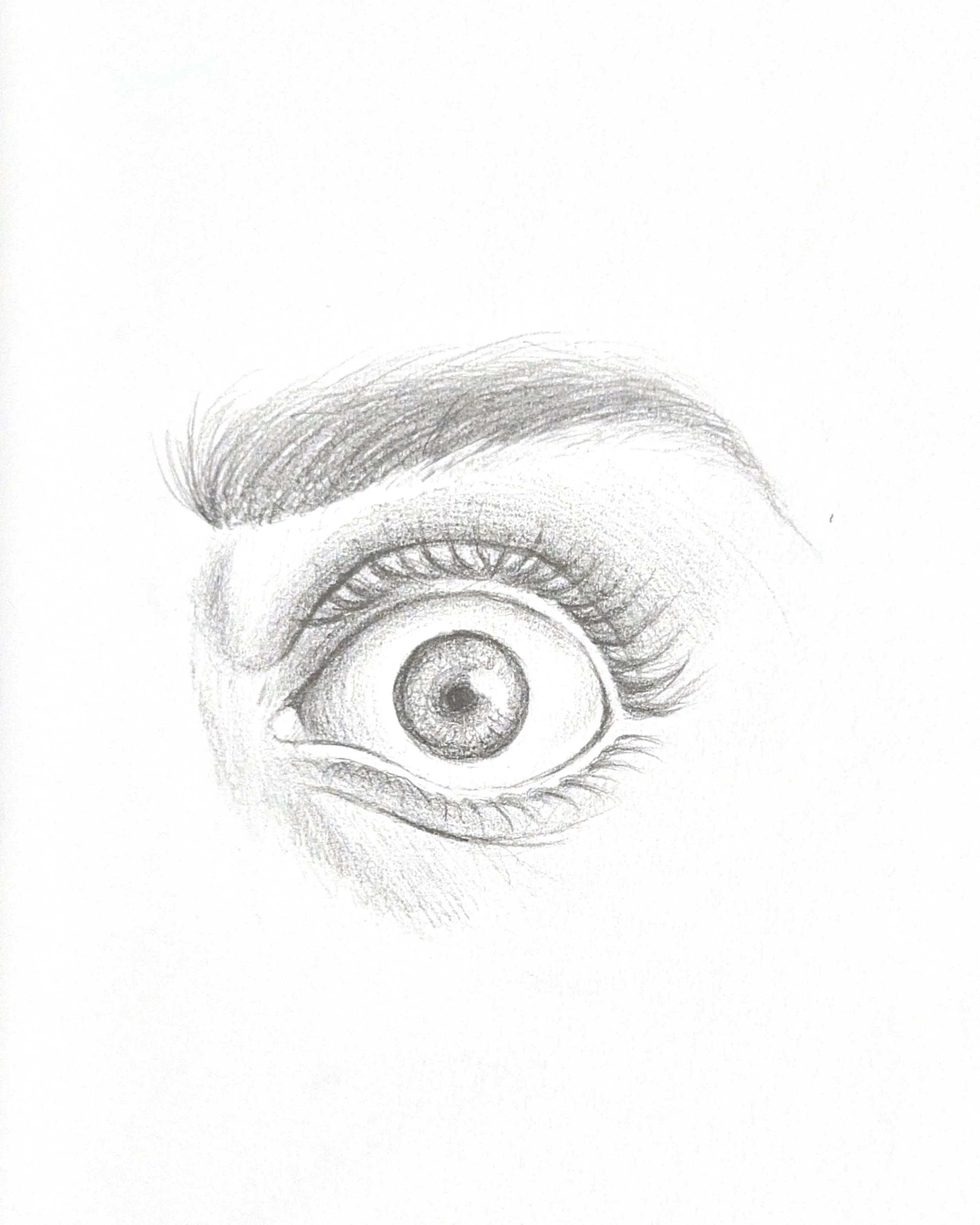 Eye Study