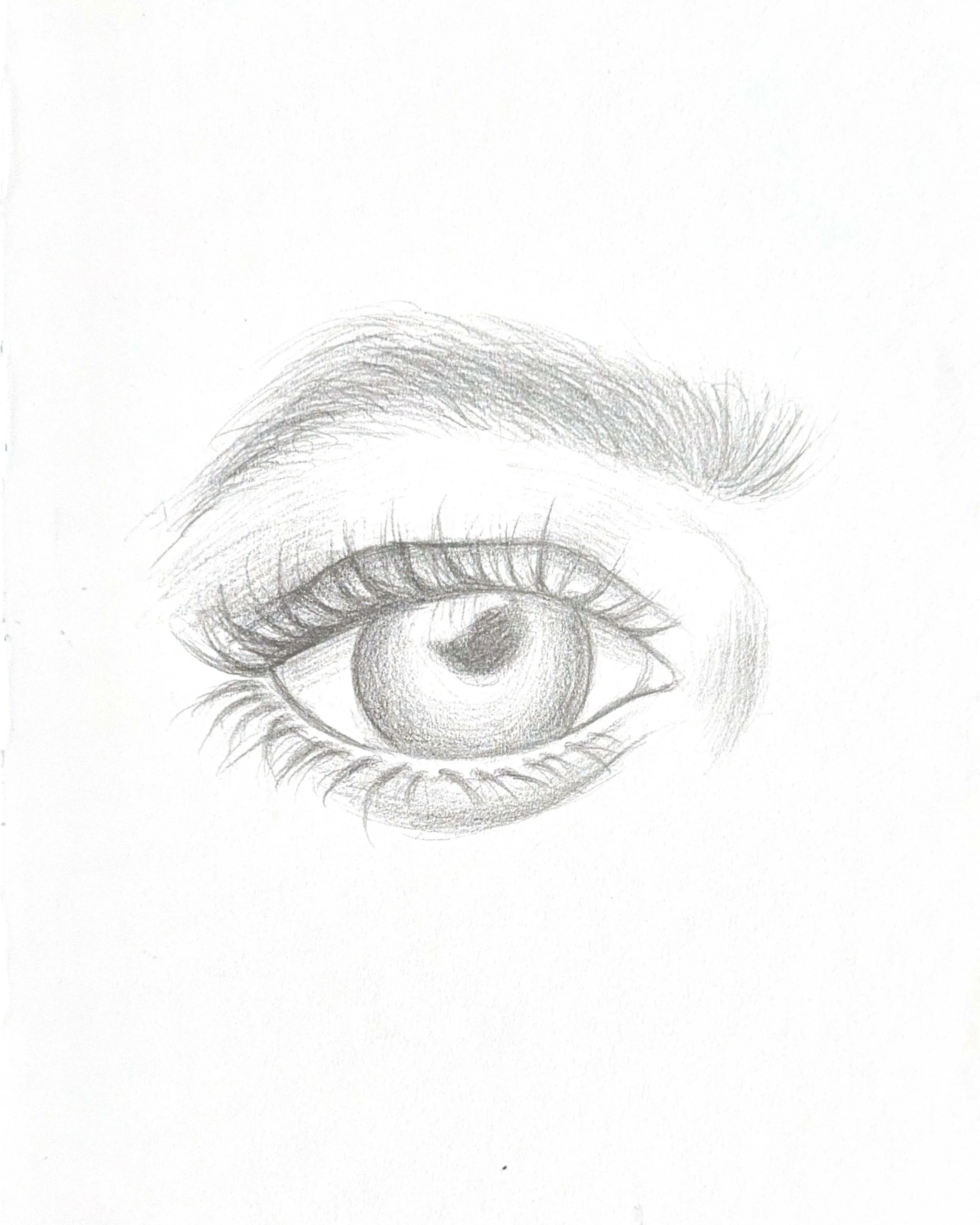 Eye Study