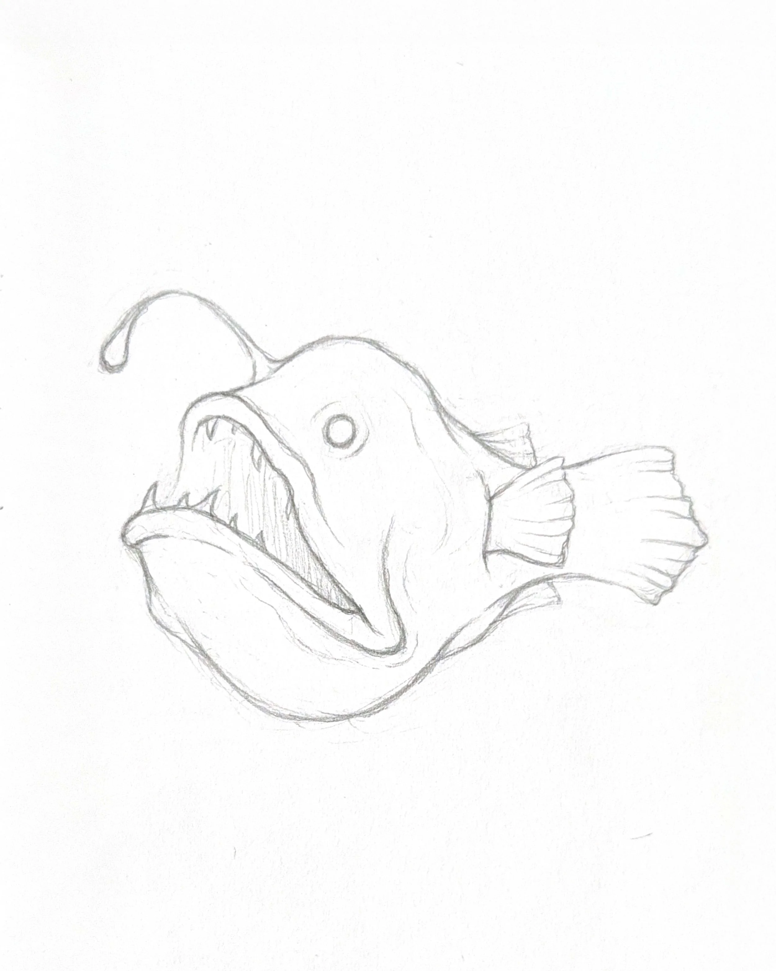 Angler Fish