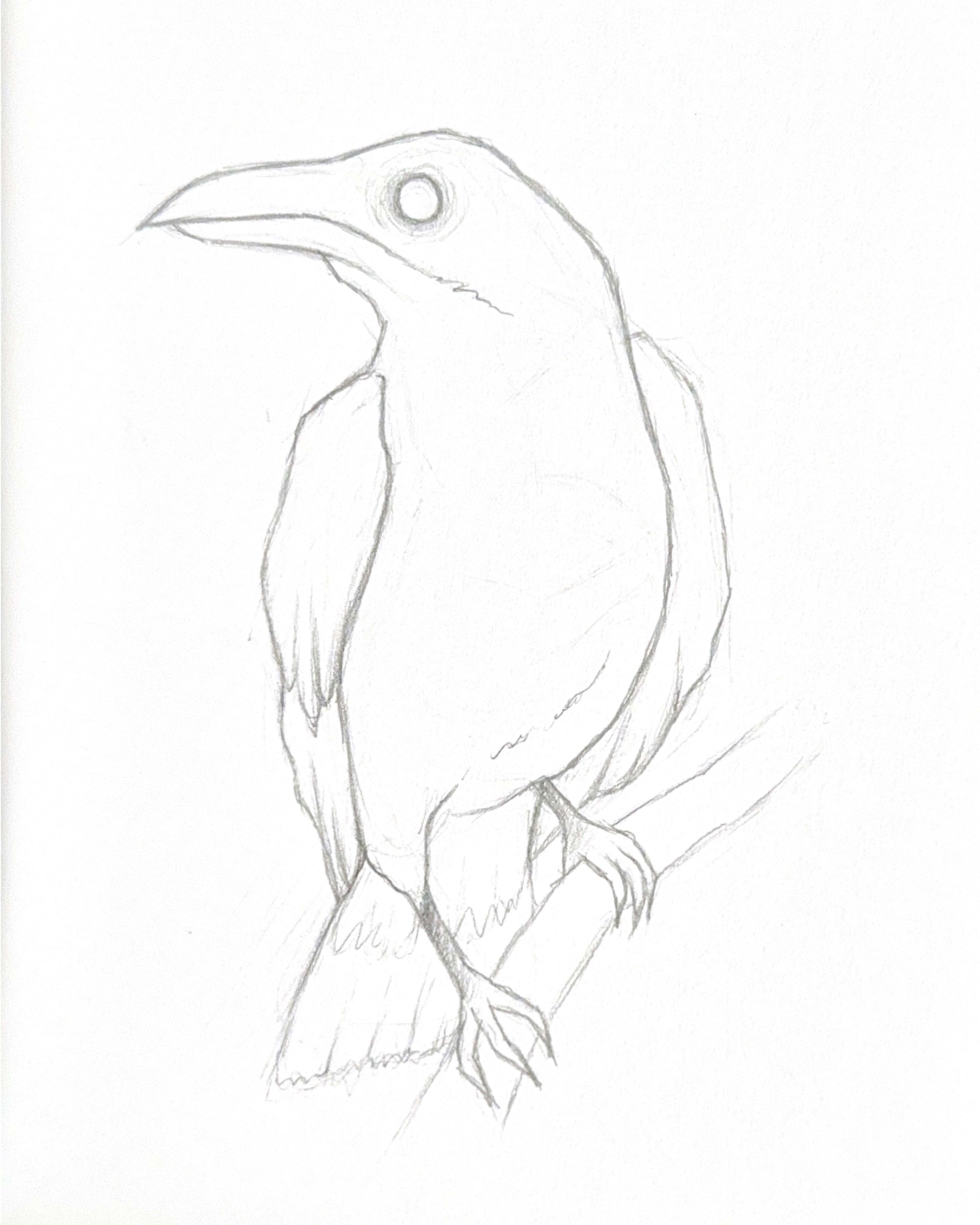 Crow